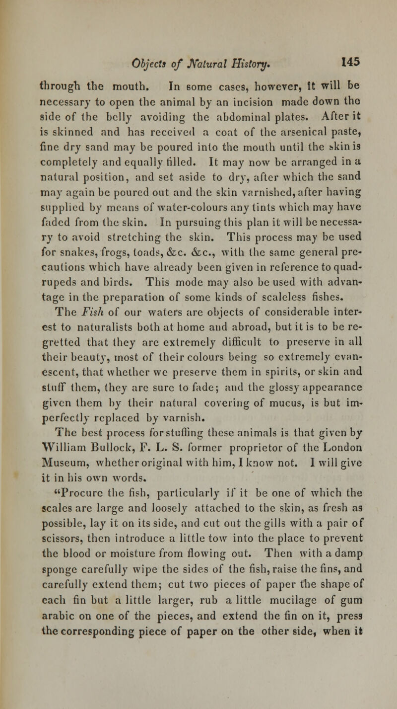 through the mouth. In 6ome cases, however, It will be necessary to open the animal by an incision made down the side of the belly avoiding the abdominal plates. After it is skinned and has received a coat of the arsenical paste, fine dry sand may be poured into the mouth until the skin is completely and equally tilled. It may now be arranged in a natural position, and set aside to dry, after which the sand may again be poured out and the skin varnished, after having supplied by means of water-colours any tints which may have faded from the skin. In pursuing this plan it will be necessa- ry to avoid stretching the skin. This process may be used for snakes, frogs, toads, &c. &c, with the same general pre- cautions which have already been given in reference to quad- rupeds and birds. This mode may also be used with advan- tage in the preparation of some kinds of scaleless fishes. The Fish of our waters are objects of considerable inter- est to naturalists both at home and abroad, but it is to be re- gretted that they are extremely difficult to preserve in all their beauty, most of their colours being so extremely evan- escent, that whether we preserve them in spirits, or skin and stulF them, they arc sure to fade; and the glossy appearance given them by their natural covering of mucus, is but im- perfectly replaced by varnish. The best process for stuffing these animals is that given by William Bullock, F. L. S. former proprietor of the London Museum, whether original with him, I know not. I will give it in his own words. Procure the fish, particularly if it be one of which the scales arc large and loosely attached to the skin, as fresh as possible, lay it on its side, and cut out the gills with a pair of scissors, then introduce a little tow into the place to prevent the blood or moisture from flowing out. Then with a damp sponge carefully wipe the sides of the fish, raise the fins, and carefully extend them; cut two pieces of paper the shape of each fin but a little larger, rub a little mucilage of gum arabic on one of the pieces, and extend the fin on it, press the corresponding piece of paper on the other side, when it