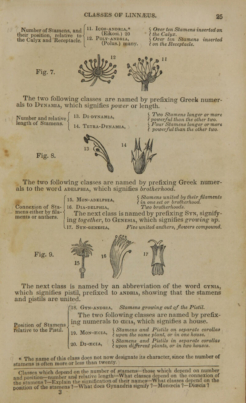 Number of Stamens, and f ■ Ic?|rtND^Ao'n their position, relative to-L„ „ ^ikos,i.) 20 the Calyx and Receptacle. 12 Pout-andbia, (Polus.) many. I Over ten Stamens inserted on I </ie Calyx. \ Over ten Stamens inserted 1 on <Ae Receptacle. Fig. 7. The two following classes are named by prefixing Greek numer- als to Dynamia, which signifies power or length. 13. Dl-DYNAMIA, 14. TETRA-DyNAMIA, 14 S Two Stamens longer or more (powerful than the other two. { Four Stamens longer or more C powerful than the other two. Number and relative length of Stamens. Fig. 8. The two following classes are named by prefixing Greek numer- als to the word adelphia, which signifies brotherhood. fi~ ivr™ .„x.,„,... S Stamens united by their .filaments 16. MoN-ADELPHIA, J fa ^ ^ ^ brotf?erhoJ, Connexion of Sta- | 16. Dia-delphia, Two brotherhoods. mens either by fila- j ^he next ciass js named by prefixing Syn, signify - men s or an ers. | ^ ioset^er^ to gENESiA) which signifies growing up. I17. Syn-genesia, Five united anthers, flowers compound. Fig. 9. The next class is named by an abbreviation of the word gynia, which signifies pistil, prefixed to andria, showing that the stamens and pistils are united. f 18. Gyn-andbia, Stamens growing out of the Pistil. The two following classes are named by prefix- ins numerals to reciA, which signifies a house. Position of Stamens, relative to the Pistil 19. M0N-03CIA, 20. Di-cecia, $ Stamens and Pistils on separate corollas ( upon the same plant, or in one house. { Stamens and Pistils in separate corollas ( upon different plants, or in two houses. * The name of this class does not now designate its character, since the number of stamens is often more or less than twenty. ^^_ Classes which depend on the number of stamens—those which depend on number and portion—number and relative length—What classes depend on the connexion of the stamens'?—Explain the signification of their names—What classes depend on the position of the stamens 7—What does Gynandria signify 7—Moncecia '?-Dicecia 1 3