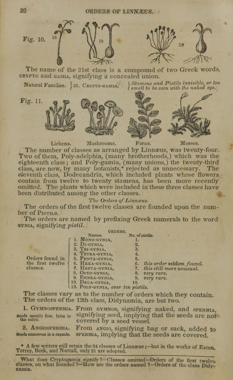 Fig. 10. The name of the 21st class is a compound of two Greek words. cbypto and gamia, signifying a concealed union Natural Families [21. Crypto-camia, ', SI 'idi nix (itid Pistils in risible, or too } small to be seen with the naked eye* Fig. 11. Lichens. Mushrooms. Ferns. Mosses. The number of classes as arranged by Linnaeus, was twenty-four. Two of them, Poly-adelphia, (many brotherhoods,) which was the eighteenth class; and Poly-gamia, (many unions,) the twenty-third class, are now, by many botanists,* rejected as unnecessary. The eleventh class, Dodecandria, which included plants whose flowers contain from twelve to twenty stamens, has been more recently omitted. The plants which were included in these three classes have been distributed among the other classes. The Orders of Linnccus. The orders of the first twelve classes are founded upon the num- ber of Pistils. The orders are named by prefixing Greek numerals to the word gynia, signifying pistil. OEDEKS. Orders found in the first twelve classes. 113. Poly-gynia, over ten pistils. The classes vary as to the number of orders which they contain. The orders of the 13th class, Didynamia, are but two. 1. Gymnospermia. From gymnos, signifying naked, and spermia, sends usually four, lying in signifying seed, implying that the seeds are not *** calyx- covered by a seed vessel. 2. Angiospermia. From angio, signifying bag or sack, added to seeds numerous in a capsule, spermia, implying that the seeds are covered. * A few writers still retain the 24 classes of Linnaeus;— but in the works of Eaton Torrey, Beck, and Nuttall, only 21 are adopted. What does Cryptogamia signify ?—Classes omitted—Orders of the first twelvo classes, on what founded?—How are the orders named 1—Orders of the class Didy- namia. Names. No. of pistils. 1. MONO-GVNIA, 1. 2. Dl-GYNIA, 2. 3. Tei-gynia, 3. 4. Tetba-gynia, 4. 5. Penta-gynia, 5. 6. Hexa-gynia, 6. this order seldom found. 7. Hepta-gynia, 7. this still more unusual. 8. OcTO-GYNIA, 8. very rare. 9. Eknea-gynia, 9. very rare. 10. Deca-gynia, 10.
