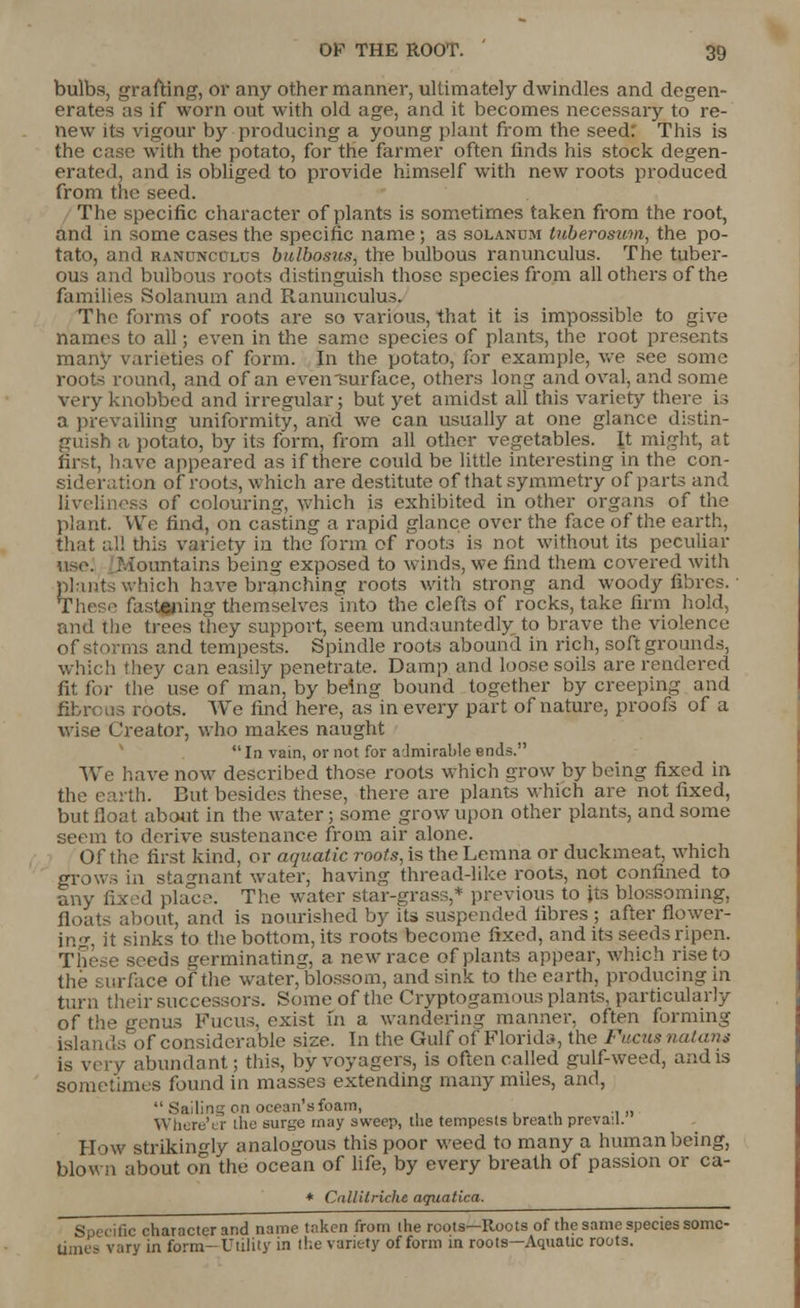 bulbs, grafting, or any other manner, ultimately dwindles and degen- erates ;is if worn out with old age, and it becomes necessary to re- new its vigour by producing a young plant from the seed: This is the case with the potato, for the farmer often finds his stock degen- erated, and is obliged to provide himself with new roots produced from the seed. The specific character of plants is sometimes taken from the root, and in some cases the specific name; as solanum tuberosum, the po- tato, and ranunculus bnlbosus, the bulbous ranunculus. The tuber- ous and bulbous roots distinguish those species from all others of the families Solanum and Uanunculus. The forms of roots are so various, that it is impossible to give names to all; even in the same species of plants, the root presents many varieties of form. In the potato, for example, we see some roots round, and of an even'surface, others long and oval, and some very knobbed and irregular; but yet amidst all this variety there is a prevailing Uniformity, and we can usually at one glance distin- guish a potato, by its form, from all other vegetables. It might, at first, have appeared as if there could be little interesting in the con- sideration of roots, which are destitute of that symmetry of parts and liveliness of colouring, which is exhibited in other organs of the plant. We find, on casting a rapid glance over the face of the earth, that all this variety in the form of roots is not without its peculiar use. Mountains being exposed to winds, we find them covered with plants which have brandling roots with strong and woody fibres. These fastening themselves Into the clefts of rocks, take firm hold, and the trees they support, seem undauntedly to brave the violence of storms and tempests. Spindle roots abound in rich, soft grounds, ch they can easily penetrate. Damp and loose soils are rendered fit for the use of man, by being bound together by creeping and fibre us roots. We find here, as in every part of nature, proofs of a wise Creator, who makes naught  In vain, or not for admirable ends. We have now described those roots which grow by being fixed in the earth. But besides these, there are plants which are not fixed, but float about in the water; some grow upon other plants, and some seem to derive sustenance from air alone. Of the first kind, or aquatic roots, is the Lemna or duckmeat, which grows in stagnant water, having thread-like roots, not confined to any fixed place. The water star-grass,* previous to its blossoming, floats about, and is nourished by its suspended fibres ; after flower- in ir, it sinks to the bottom, its roots become fixed, and its seeds ripen. These seeds germinating, a new race of plants appear, which rise to the surface of the water, blossom, and sink to the earth, producing in turn their successors. Some of the Cryptogamous plants, particularly of the genus Fucus, exist in a wandering manner, often forming islands of considerable size. In the Gulf of Florida, the Fucus nutans is very abundant; this, by voyagers, is often called gulf-weed, and is sometimes found in masses extending many miles, and, Sailing on ocean's foam, Where'er the surge may sweep, the tempests breath prevail. How strikingly analogous this poor weed to many a human being, blown about on the ocean of life, by every breath of passion or ca- * Callilriche aquatlca. Specific character and name taken from (he roots—Roots of the same species some- times vary in form-Utility in the variety of form in roots—Aquatic roots.