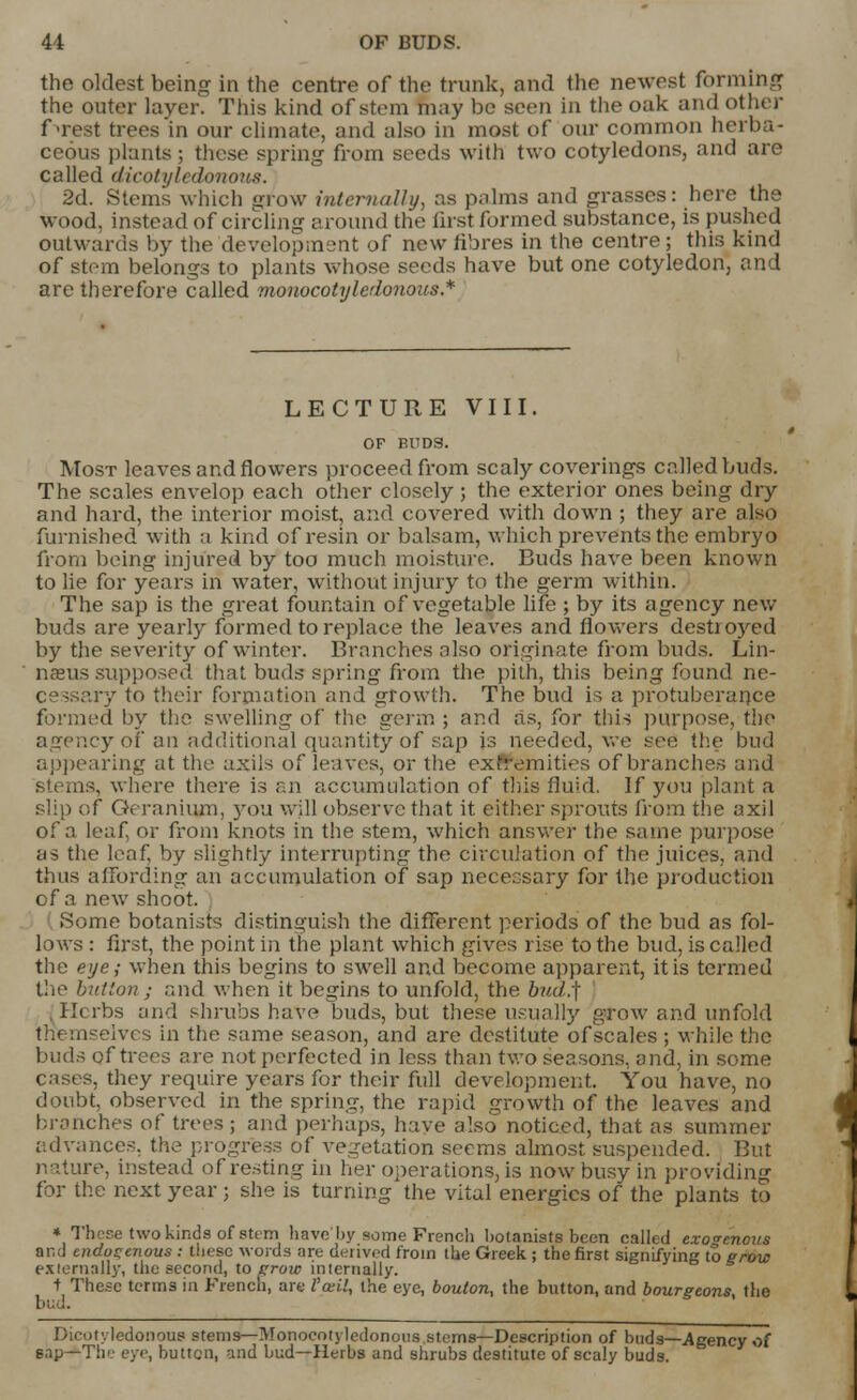 the oldest being in the centre of the trunk, and the newest forming the outer layer. This kind of stem m;iy be seen in the oak and other f-rest trees in our climate, and also in most of our common herba- ceous plants ; these spring from seeds with two cotyledons, and are called dicotyledonous. 2d. Stems which grow internally, as palms and grasses: here the wood, instead of circling around the first formed substance, is pushed outwards by the development of new fibres in the centre; this kind of stem belongs to plants whose seeds have but one cotyledon, and are therefore called monocotyledonous.* LECTURE VIII, OF BUDS. Most leaves and flowers proceed from scaly coverings called buds. The scales envelop each other closely; the exterior ones being dry and hard, the interior moist, and covered with down ; they are also furnished with a kind of resin or balsam, which prevents the embryo from being injured by too much moisture. Buds have been known to lie for years in water, without injury to the germ within. The sap is the great fountain of vegetable life ; by its agency new buds are yearly formed to replace the leaves and flowers destroyed by the severity of winter. Branches also originate from buds. Lin- naeus supposed that buds spring from the pith, this being found ne- ■vy to their formation and growth. The bud is a protuberance formed by the swelling of the germ ; and as, for this purpose, the agency of an additional quantity of sap is needed, we see the bud appearing at the axils of leaves, or the exfremities of branches and stems, where there is an accumulation of this fluid. If you plant a slip of Geranium, you will observe that it either sprouts from the axil of a leaf or from knots in the stem, which answer the same purpose as the leaf, by slightly interrupting the circulation of the juices, and thus affording an accumulation of sap necessary for the production cf a new shoot. Home botanists distinguish the different periods of the bud as fol- lows : first, the point in the plant which gives rise to the bud, is called the eye; when this begins to swell and become apparent, it is termed the button; and when it begins to unfold, the bud ;\ lit rbs find shrubs have buds, but these usually grow and unfold ;elves in the same season, and are destitute of scales ; while the buds of trees are not perfected in less than two seasons, and, in some cases, they require years for their full development.. You have, no doubt, observed in the spring, the rapid growth of the leaves and branches of trees ; and perhaps, have also noticed, that as summer advances, the progress of vegetation seems almost suspended. But nature, instead of resting in her operations, is now busy in providing for the next year ; she is turning the vital energies of the plants to * These two kinds of stem have by some French botanists been called exogenous and endogenous : these words are del lved from the Greek ; the first signifying to grow externally, the second, to crow internally. t These terms in French, are Vail, the eye, bouton, the button, and bourgeons, the bud. Dicotyledonous stems—Monocotyledonous sterns—Description of buds—.Agency o( sap—The eye, button, and bud—Herbs and shrubs destitute of scaly buds.