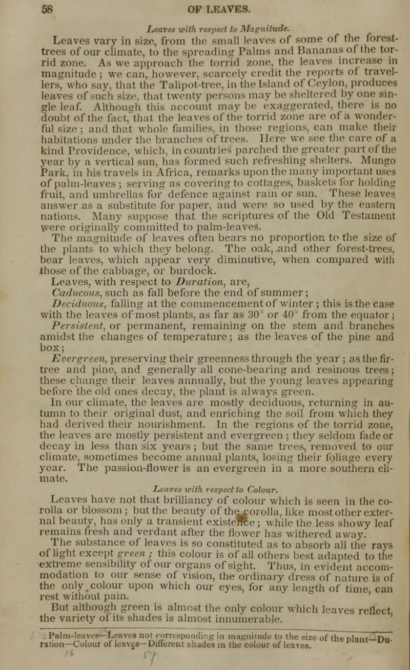 Leaves with respect to Magnitude. Leaves vary in size, from the small leaves of some of the forest- trees of our climate, to the spreading Palms and Bananas of (he tor- rid zone. As we approach the torrid zone, the leaves increase in magnitude ; we can, however, scarcely credit the reports of travel- lers, who say, that the Talipot-tree, in the Island of Ceylon, produces leaves of such size, that twenty persons may be sheltered by one sin- gle leaf. Although this account may be exaggerated, there is no doubt of the fact, that the leaves of the torrid zone are of a wonder- ful size ; and that whole families, in those regions, can make their habitations under the branches of trees. Here we see the care of a kind Providence, which, in countries parched the greater part of the year by a vertical sun, has formed such refreshing shelters. Mungo Park, in his travels in Africa, remarks upon the many important uses of palm-leaves; serving as covering to cottages, baskets for holding fruit, and umbrellas for defence against ram or sun. These leaves answer as a substitute for paper, and were so used by the eastern nations. Many suppose that the scriptures of the Old Testament were originally committed to palm-leaves. The magnitude of leaves often bears no proportion to the size of the plants to which they belong. The oak, .and other forest-trees, bear leaves, which appear very diminutive, when compared with those of the cabbage, or burdock. Leaves, with respect to Duration, are, Caducous, such as fall before the end of summer; Deciduous, falling at the commencement of winter ; this is the case with the leaves of most plants, as far as 303 or 40° from the equator ; Persistent, or permanent, remaining on the stem and branches amidst the changes of temperature; as the leaves of the pine and box; Evergreen, preserving their greenness through the year ; as the fir- tree and pine, and generally all cone-bearing and resinous trees; these change their leaves annually, but the young leaves appearing before the old ones decay, the plant is always green. In our climate, the leaves are mostly deciduous, returning in au- tumn to their original dust, and enriching the soil from which they had derived their nourishment. In the regions of the torrid zone, the leaves are mostly persistent and evergreen ; they seldom fade or decay in less than six years ; but the same trees, removed to our climate, sometimes become annual plants, losing their foliage every year. The passion-flower is an evergreen in a more southern cli- mate. Leaves with respect to Colour. Leaves have not that brilliancy of colour which is seen in the co- rolla or blossom; but the beauty of the^orolla, like most other exter- nal beauty, has only a transient existeUe; while the less showy leaf remains fresh and verdant after the flower has withered away. The substance of leaves is so constituted as to absorb all the rays of light except green; this colour is of all others best adapted to the extreme sensibility of our organs of sight. Thus, in evident accom- modation to our sense of vision, the ordinary dress of nature is of the only.colour upon which our eyes, for any length of time can rest without pain. But although green is almost the only colour which leaves reflect the variety of its shades is almost innumerable. Palm-leaves— Leaves noi corresponding in magnitude to the size of the plant—Du ration—Colour of leaves— Different shades in the colour of leaves.
