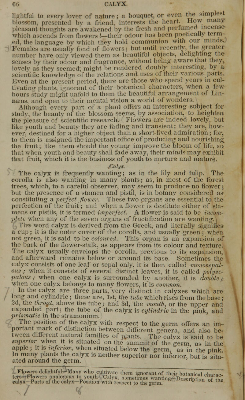 GO CALYX. hghtful to every lover of nature; a bouquet, or even the simplest blossom, presented by a friend, interests the heart. How many pleasant thoughts are awakened by the fresh and perfumed incense- Which ascends from flowers !—their odour lias been poetically term- ed, the language by which thev hold communion with our minds. Females are usually fond of flowers; but until recently, the greater number have only viewed them as beautiful objects, delighting the senses by their odour and fragrance, without being aware that they, lovely as they seemed, might be rendered doubly interesting, by a scientific knowledge of the relations and uses of their various parts. Even at the present period, there are those who spend years in cul- tivating plants, ignorant of their botanical characters, when a few hours study might unfold to them the beautiful arrangement of Lin- naeus, and open to their mental vision a world of wonders. Although every part of a plant offers an interesting subject for study, the beauty of the blossom seems, by association, to heighten the pleasure of scientific research. Flowers are indeed lovely, but like youth and beauty they are fading and transient; they are, how- ever, destined for a higher object than a short-lived admiration; for, to them is assigned the important office of producing and nourishing; the fruit; like them should the young improve the bloom of life, so that when youth and beauty shall fade away, their minds may exhibit that fruit, which it is the business of youth to nurture and mature. JCalyx. The calyx is frequently wanting; as in the lily and tulip. The corolla is also' wanting in many plants; as, in most of the forest trees, which, to a careful observer, may seem to produce no flower; but the presence of a stamen and pistil, is in botany considered as- constituting a perfect flower. These two organs are essential to the perfection of the fruit; and when a flower is destitute either of sta- mens or pistils, it is termed imperfect. A flower is said to be incom- ]>le!e when any of the seven organs of fructification are wanting. The word calyx is derived from the Greek, and literafly signifies a cup ; it is the outer cover of the corolla, and usually green ; when not green, it is said to be co-loured. This organ is an expansion of the bark of the flower-staik, as appears from its colour and texture. The calyx usually envelops the corolla, previous to its expansion, and afterward remains below or around its base. Sometimes the calyx consists of one leaf or sepal only, it is then called moiwscpaj- ous j when it consists of several distinct leaves, it is called polysc- • palous ; when one calyx is surrounded by another, it is double; when one calyx belongs to many flowers, it is common. In the calyx are three parts, very distinct in calyxes which are I long and cylindric ; these are, 1st, the tube which rises from the base; 2d, the thropt, above the tube; and 3d, the mouth, or the upper and expanded part; the tube of the calyx is cylindric in the pink, and prismatic in the stramonium. The position of the calyx with respect to the germ offers an im- portant mark of distinction between different genera, and also be- tween different natural families of pjants. The calyx is said to be superior when it is situated on the summit of the germ, as in the apple ; it is inferior, when situated below the germ, as in the pink In many plants the calyx is neither superior nor inferior, but is situ- ated around the germ. Flowers delightful-Many who cultivate them ignorant of their botanical charac- ters-Flowers analogous to youth-Calyx, sometimes warning-Descriptionof the calyx—Parts of the calyx—Position with respect to the germ. *uun OI lne / «