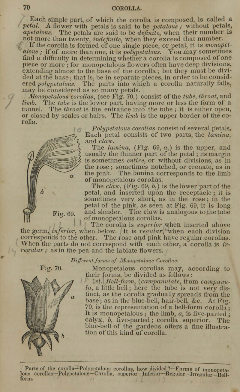 Each simple part, of which the corolla is composed, is called a petal. A flower with petals is said to be petalous ; without petals, apetalous. The petals are said to be definite, when their number is not more than twenty, indefinite, when they exceed that number. If the corolla is formed of one single piece, or petal, it is monopet- alous ; if of more than one, it is polypetalous. You may sometimes find a difficulty in determining whether a corolla is composed of one piece or more ; for monopetalous flowers often have deep divisions, extending almost to the base of the corolla; but they must be divi- ded at the base; that is, be in separate pieces, in order to be consid- ered polypetalous. The parts into which a corolla naturally falls, may be considered as so many petals. Monopetalous corollas, (see Fig. 70.) consist of the tube, throat, and limb. The tube is the lower part, having more or less the form of a tunnel. The throat is the entrance into the tube ; it is either open, or closed by scales or hairs. The limb is the upper border of the co- rolla. )q Polypetalous corollas consist of several petals. Each petal consists of two parts, the lamina, and claw. The lamina, (Fig. 69, a,) is the upper, and usually the thinner part of the petal; its margin is sometimes entire, or without divisions, as in the rose; sometimes notched, or crenate, as in the pink. The lamina corresponds to the limb of monopetalous corollas. The claw, (Fig. 69, b,) is the lower part of the petal, and inserted upon the receptacle ; it is sometimes very short, as in the rose; in the petal of the pink, as seen at Fig. 69. it is long and slender. The claw is analogous to the tube of monopetalous corollas. The corolla is superior when inserted above the germ, inferior, when below. It is regular, when each division corresponds to the other. The rose and pink have regular corollas. When the parts do not correspond with each other, a corolla is ir- regular ; as in the pea and the labiate flowers. Different forms of Monopetalous Corollas. Monopetalous corollas may, according to their forms, be divided as follows: 1st Bell-form, (campanu/ate, from campanu- la, a little bell; here the tube is not very dis- tinct, as the corolla gradually spreads from the base; as in the blue-bell, hair-bell, &c. At Fig. 70, is the representation of a bell-form corolla ; It is monopetalous ; the limb, a, is five-parted ; calyx, b, five-parted; corolla superior. The blue-bell of the gardens offers a fine illustra- tion of this kind of corolla. Fig. 70. Parts of the corolla—Polypetalous corollas, how divided?—Forms of monopeta- lous corollas—Polypetalous—Corolla, superior—Inferior—Regular—Irregular Bell- form.