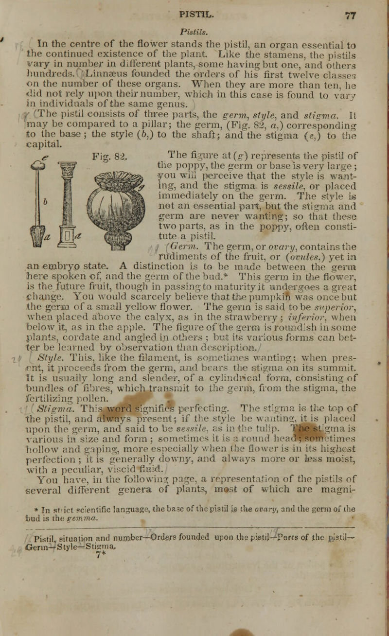 Ficr. 82. Pistils. In the centre of the flower stands the pistil, an organ essential to the continued existence of the plant. Like the stamens, the pistils vary in number in different plants, some having but one, and others hundreds. Linnums founded the orders of his first twelve classes on the number of these organs. When they are more than ten, he did not rely upon their number, which in this case is found to vary in individuals of the same genus. The pistil consists of three parts, the germ, style, and stigma. It may be compared to a pillar; the germ, (Fig. 82, a.) corresponding to the base; the style (6,) to the shaft-, and the stigma («,) to the capital. The figure at (<r) represents the pistil of the poppy, the germ or base is very large ; •you will perceive that the style is want- ing, and the stigma is sessile, or placed immediately on the germ. The style is not an essential part, but the stigma and germ are never wanting; so that these two parts, as in the poppy, often consti- tute a pistil. Germ, The germ, or ovary, contains the rudiments of the fruit, or {ovules.) yet in an embryo state. A distinction is to be made between the germ here spoken of, and the germ of the bad.* This germ in the fto is the future fruit, though in passing to maturity it undergoes a great change. You would scarcely believe that the pumpkin was once but the germ of a small yellow flower. The gerin is said lobe superior, when placed above the calyx, as in the strawberry ; inferior, when below it, as in the apple. The figure of the germ is roundish in some plants, cordate and angled in others ; but its various forms can bet- ter be learned by observation than description. Style. This, like the filament, is sometimes wanting; when pres- ent, it proceeds from the germ, and bears the stigma on its summit. It is usually long and slender, of a cylindrical form, consisting of bundles of fibres, which transmit to the germ, from the stigma, the fertilizing pollen. Stigma, Tins word signifies perfecting. The stigma is the top of the pistil, and always present; if the style be wanting;, it is placed upon the germ, and said to be sessile, as in the tulip. The stigma is various in size and form ; sometimes it is a round head^Tometimes hollow and gaping, more especially when fhe flower is in its his perfection ; it is generally downy, and always more or less moist, with a peculiar, viscid fluid. You have, in the following pnge, a representation of the pistils of several different genera of plants, most of which are magni- * In sf 'ict scientific language, the ba.;c of the pistil ;s the ovary, and the germ of the Luc! is the gemma. Pistil, situation and number—Orders founded upon the pistil—Parts of the pistil— Gerin— Style— Stigma, 7*