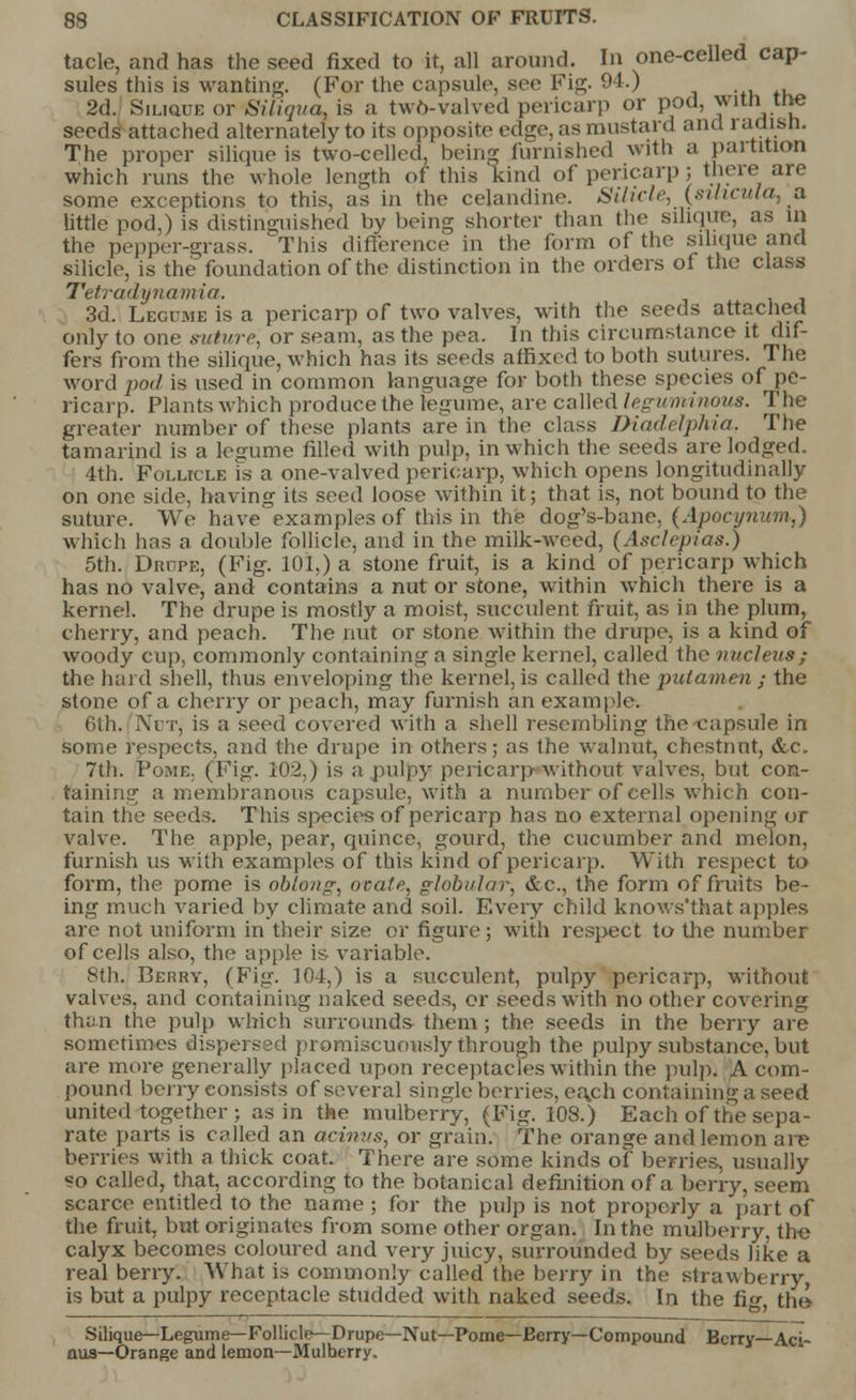 tacle, and has the seed fixed to it, all around. In one-celled cap- sules this is wanting. (For the capsule, see Fig. 94.) 2d. SinauE or Siliqua, is a twO-valved pericarp or pod, with tne seeds attached alternately to its opposite edge, as mustard and radian. The proper silique is two-celled, being furnished with a partition which runs the whole length of this 'kind of pericarp; there are some exceptions to this, as in the celandine. Silicle, (sthcula, a little pod,) is distinguished by being shorter than the silique, as in the pepper-u;rass. This difference in the form of the silique and silicle, is the foundation of the distinction in the orders of the class Tetradynamia. 3d. Lecu.aie is a pericarp of two valves, with the seeds attached only to one suture, or seam, as the pea. In this circumstance it dif- fers from the silique, which has its seeds affixed to both sutures. The word poil is used in common language for both these species of pe- ricarp. Plants which produce the legume, are called leguminous. The greater number of these plants are in the class Diadelphia, The tamarind is a legume filled with pulp, in which the seeds are lodged. 4th. Follicle is a one-valved pericarp, which opens longitudinally on one side, having its seed loose within it; that is, not bound to the suture. We have examples of this in the dog's-bane, (Apocynum,) which has a double follicle, and in the milk-weed, (Asclepias.) 5th. Drdpe, (Fig. 101,) a stone fruit, is a kind of pericarp which has no valve, and contains a nut or stone, within which there is a kerne!. The drupe is mostly a moist, succulent fruit, as in the plum, cherry, and peach. The nut or stone within the drupe, is a kind of woody cup, commonly containing a single kernel, called the nucleus; the haul shell, thus enveloping the kernel, is called the putamen ; the stone of a cherry or peach, may furnish an example. 6th. Not; is a seed covered with a shell resembling the capsule in some respects, and the drupe in others; as the walnut, chestnut, &c. 7th. Pome. (Fig. 102,) is a pulpy pericarp without valves, but con- taining a membranous capsule, with a number of cells which con- tain the seeds. This species of pericarp has no external opening or valve. The apple, pear, quince, gourd, the cucumber and melon, furnish us with examples of this kind of pericarp. With respect to form, the pome is oblong, ovate, globular, &c, the form of fruits be- ing much varied by climate and soil. Every child knows'that apples are not uniform in their size or figure; with respect to the number of cells also, the apple is variable. 8th. Berry, (Fig. 104,) is a succulent, pulpy pericarp, without valves, and containing naked seeds, or seeds with no other covering than the pulp which surrounds them; the seeds in the berry are sometimes dispersed promiscuously through the pulpy substance, but are more generally placed upon receptacles within the pulp. A com- pound berry consists of several single berries, each containing a seed united together ; as in the mulberry, (Fig. 108.) Each of the sepa- rate parts is called an acinus, or grain. The orange and lemon are berries with a thick coat. There are some kinds of berries, usually «o called, that, according to the botanical definition of a berry, seem scarce entitled to the name ; for the pulp is not properly a part of the fruit, but originates from some other organ. In the mulberry, the calyx becomes coloured and very juicy, surrounded by seeds like a real berry. What is commonly called the berry in the strawberry, is but a pulpy receptacle studded with naked seeds. In the fig, the Silique— Legume— Follicle— Drupe—Nut—Pome— Eerry—Compound Berry—Aci- nus—Orange and lemon—Mulherry.