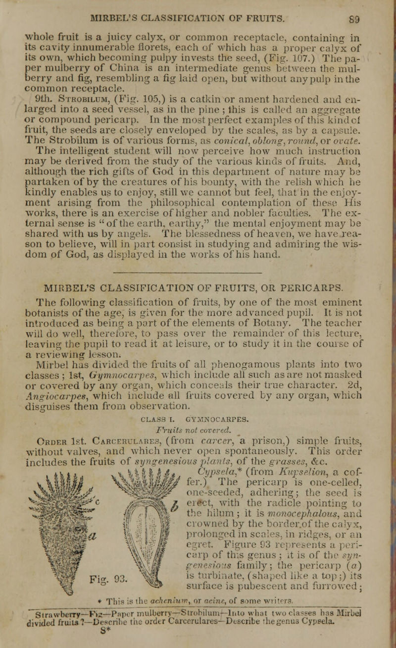 whole fruit is a juicy calyx, or common receptacle, containing in its cavity innumerable florets, each of which has a proper calyx of its own, which becoming pulpy invests the seed, (Fig. 107.) The pa- per mulberry of China is an intermediate genus between the mul- berry and fig, resembling a fig laid open, but without any pulp in the common receptacle. 9th. Strobilum, (Fig. 105,) is a catkin or ament hardened and en- larged into a seed vessel, as in the pine ; this is called an aggregate or compound pericarp. In the most perfect examples of this kind oi fruit, the seeds are closely enveloped by the scales, as by a capsule. The Strobilum is of various forms, as conical, oblong, round, or ovate. The intelligent student will now perceive how much instruction may be derived from the study of the various kinds of fruits. And, although the rich gifts of God in this department of nature may be partaken of by the creatures of his bounty, with the relish winch he kindly enables us to enjoy, still we cannot but feel, that in the enjoy- ment arising from the philosophical contemplation of these His works, there is an exercise of higher and nobler faculties. The ex- ternal sense is of the earth, earthy, the mental enjoyment may be shared with us by angels. The blessedness of heaven, we have rea- son to believe, will in part consist in studying and admiring the wis- dom of God, as displayed in the works of his hand. MIRBEL'S CLASSIFICATION OF FRUITS, OR PERICARPS. The following classification of fruits, by one of the most eminent botanists of the age, is given for the more advanced pupil. It is not introduced as being a part of the elements of Botany. The teacher will do well, therefore, to pass over the remainder of this lecture, leaving the pupil to read it at leisure, or to study it in the course of a reviewing lesson* Mirbel has divided the fruits of all pbenogamous plants into two classes; 1st, Gymnocarpes, which include all such as are not masked or covered by any organ, which conceals their true character. 2d, Angiocarpet, which include all fruits covered by any organ, which disguises them from observation. CLASS I. GYMNOCARPES. Fruits not covered. Order 1st. Carcehulap.es, (from career, a prison,) simple fruits, without valves, and which never open spontaneously. This order includes the fruits of syngencsious plants, of the grasses, &c. \4m Fig. 93. (typsela,* (from Kupse.lion, a cof- fer.) The pericarp is one-celled, one-seeded, adhering; the seed is eiect, with the radicle pointing to the hiliim ; it is monocephahus, and crowned by the border.of the < nged in scales, in ridges, or an Figure 03 represents a carp of this genus ; it is of the ious family; the pericarp (a) is turbinate, (shaped like a top;) its surface is pubescent and furrowed; * This is the achenium, or acine, of some writera. Strawberry— Fi2—Paper mulberry—Strobilum—Into what two classes 1ms Mirbel divided fruil»7—Describe the order Carcerulares— Describe ihegenus Cypsela. S*