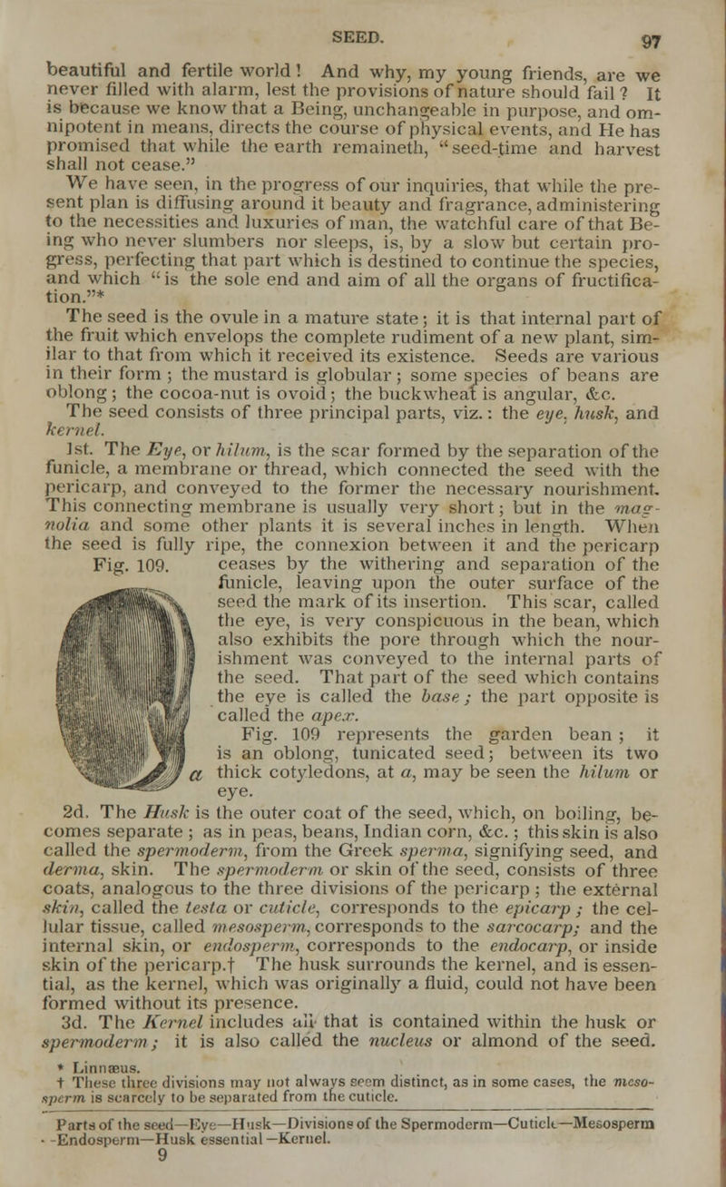 beautiful and fertile world! And why, my young friends, are we never filled with alarm, lest the provisions of nature should fail ? It is because we know that a Being, unchangeable in purpose, and om- nipotent in means, directs the course of physical events, and He has promised that while the earth remaineth, seed-time and harvest shall not cease. We have seen, in the progress of our inquiries, that while the pre- sent plan is diffusing around it beauty and fragrance, administering to the necessities and luxuries of man, the watchful care of that Be- ing who never slumbers nor sleeps, is, by a slow but certain pro- gress, perfecting that part which is destined to continue the species, and which  is the sole end and aim of all the organs of fructifica- tion.* The seed is the ovule in a mature state; it is that internal part of the fruit which envelops the complete rudiment of a new plant, sim- ilar to that from which it received its existence. Seeds are various in their form ; the mustard is globular; some species of beans are oblong; the cocoa- nut is ovoid; the buckwheat is angular, &c. The seed consists of three principal parts, viz.: the eye, husk, and kernel. 1st. The Eye, or hilum., is the scar formed by the separation of the funicle, a membrane or thread, which connected the seed with the pericarp, and conveyed to the former the necessary nourishment. This connecting membrane is usually very short; but in the mag- nolia and some other plants it is several inches in length. When the seed is fully ripe, the connexion between it and the pericarp Fig. 109. ceases by the withering and separation of the funicle, leaving upon the outer surface of the seed the mark of its insertion. This scar, called the eye, is very conspicuous in the bean, which also exhibits the pore through which the nour- ishment was conveyed to the internal parts of the seed. That part of the seed which contains the eye is called the base; the part opposite is called the apex. Fig. 109 represents the garden bean ; it is an oblong, tunicated seed; between its two a thick cotyledons, at a, may be seen the hilum or eye. 2d. The Husk is the outer coat of the seed, which, on boiling, be- comes separate ; as in peas, beans, Indian corn, &c.; this skin is also called the spermoderm, from the Greek sperma, signifying seed, and derma, skin. The spermoderm or skin of the seed, consists of three coats, analogous to the three divisions of the pericarp ; the external skin, called the testa or cuticle, corresponds to the epicarp ; the cel- lular tissue, called mesosperm., corresponds to the sarcocarp; and the interna] skin, or endosperm, corresponds to the endocarp, or inside skin of the pericarp.t The husk surrounds the kernel, and is essen- tial, as the kerne], which was originally a fluid, could not have been formed without its presence. 3d. The Kernel includes all that is contained within the husk or spermoderm j it is also called the nucleus or almond of the seed. * Linnaeus. t These three divisions may not always seem distinct, as in some cases, the meso- sperm is scarcely to be separated from the cuticle. Parts of the seed—Eye—Husk—Divisions of the Spermoderm—Cutick—Mesosperm • -Endosperm—Husk essential—Kernel. 9
