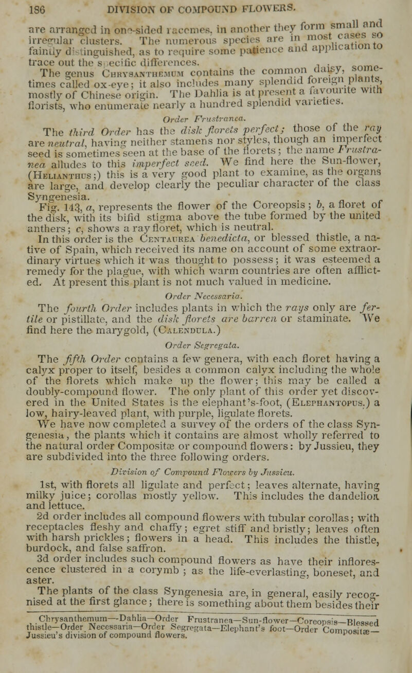 are arranged in bn<vsided racemes, in another they form small and irregular clusters. The numerous spedes are m most t .is . faintly di inguished, as to require some pagence and appncauonio trace out the s ecific differences. . . crim„ The genus Chrysanthemum contains the common cla\sy, some- times called ox -eve •. it also includes many splendid loreign mams, mostly of Chinese origin. The Dahlia is at present a favourite with florists, who enumerate nearly a hundred splendid varieties. Order Frustranca. The third Order has the disk florets perfect; those of the ray are neutral, having neither stamens nor styles, though an imperfect seed is sometimes seen at the base of the florets ; the name / rustra- nea alludes to this imperfect seed. We find here the Sun-flower, (Helianthds ;) this is a very good plant to examine, as the organs are large, and develop clearly the peculiar character of the class Synjjenesia. Fig. 113, a, represents the flower of the Coreopsis ; b, a floret of the disk, with its bifid stigma above the tube formed by the united anthers; c, shows a ray floret, which is neutral. In this order is the Centadrea b'enedicta, or blessed thistle, a na- tive of Spain, which received its name on account of some extraor- dinary virtues which it was thought to possess; it was esteemed a remedy for the plague, with which warm countries are often afflict- ed. At present this plant is not much valued in medicine. Order Necessaria. The fourth Order includes plants in which the rays only are fer- tile or pistillate, and the disk florets are barren or staminat.e. We find here the marygold, (Calendula.) Order Scgrcgata. The fifth Order contains a few genera, with each floret having a calyx proper to itself, besides a common calyx including the whole of the florets which make up the flower; this may be called a doubly-compound flower. The only plant of this order yet discov- ered in the United States is the elephant's-foot, (Elephantopu.s.) a low, hairy-leaved plant, with purple, ligulate florets. We have now completed a survey of the orders of the class Syn- genesia, the plants which it contains are almost wholly referred to the natural order Composite or compound flowers: by Jussieu, they are subdivided into the three following orders. Division of Compound Flowers by Jussieu. 1st, with florets all ligulate and perfect; leaves alternate, having milky juice; corollas mostly yellow. This includes the dandelion, and lettuce. 2d order includes all compound flowers with tubular corollas; with receptacles fleshy and chaffy; egret stiff and bristly; leaves often with harsh prickles; flowers in a head. This includes the thistle, burdock, and false saffron. 3d order includes such compound flowers as have their inflores- cence clustered in a corymb ; as the life-everlasting, boneset, and aster. The plants of the class Syngenesia are, in general, easily recog- nised at the first glance; there is something about them besides the?r Chrysanthemum—Dahlia-Order Frustranea-Sun-flower-Coreopsis-Blessed thistle—Order. Neccssaria-Ordcr Segregata—Elephant's foot-Order ComnniitV— Jussieu's division of compound flowers.