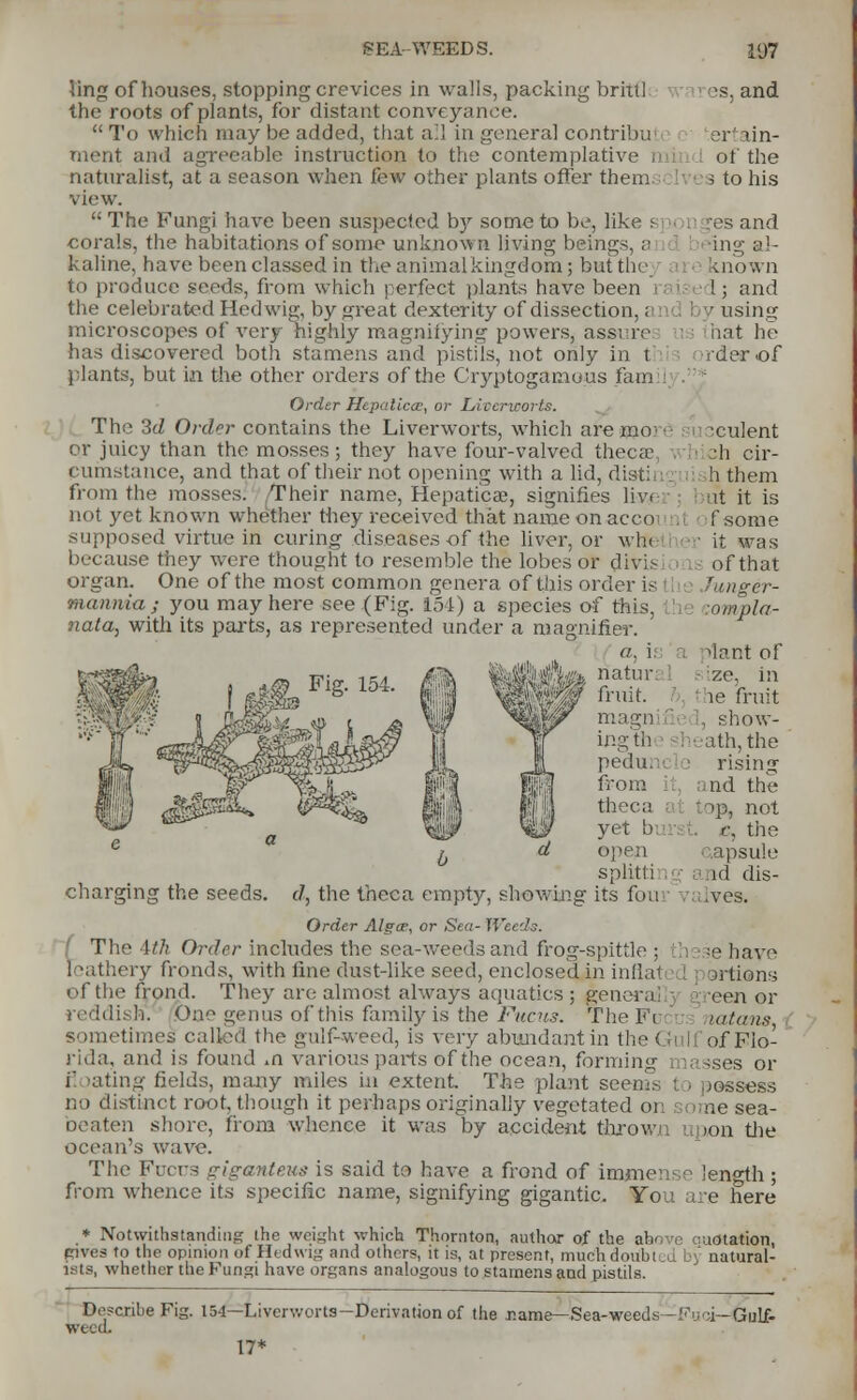 SEA-WEEDS. 107 ling of houses, stopping crevices in walls, packing brixil es, and the roots of plants, for distant conveyance.  To which may be added, that all in general contribu- ertain- ment and agreeable instruction to the contemplative n of the naturalist, at a season when few other plants offer them 3 to his view.  The Fungi have been suspecfed by some to be, like s res and corals, the habitations of some unknown living beings, a ing al- kaline, have been classed in the animal kingdom; but tin known to produce seeds, from which perfect plants have been ! ; and the celebrated Hedwig, by great dexterity of dissection,! by using microscopes of very highly magnifying powers, assure hat he lias discovered both stamens and pistils, not only in t iderof plants, but in the other orders of the Cryptogamous fain Order Hepaticoc, or Liverworts. The 3d Order contains the Liverworts, which are mo: ■ succulent or juicy than the mosses; they have four-valved theca jIi cir- cumstance, and that of their not opening with a lid, dist: h them from the mosses. Their name, Hepaticae, signifies live tit it is not yet known whether they received that naroeonacco f some supposed virtue in curing diseases of the liver, or win it was because they were thought to resemble the lobes or divis of that organ. One of the most common genera of this order is '-niger- mannia; you may here see (Fig. 154) a species of this, ompla- ?iata, with its parts, as represented under a magnifier. a, i. ^lant of natural - :ze, in fruit. the fruit magnifi [, show- ing th sheath, the pedui rising from . and the thee a at top, not yet bur t e, the open psule split!i . and dis- J, the theca empty, showing its four valves. charging the seeds. Order Algae, or Sea- Weeds. The 4th Order includes the sea-weeds and frog-spittle ; sehaye leathery fronds, with line dust-like seed, enclosed in inflal I srtions of the frond. They are almost always aquatics ; genera een or reddish. One genus of this family is the Fucus. The 1m latans sometimes called the gulf-weed, is very abundant in the Gul] of Flo- rida, and is found m various parts of the ocean, forming jses or f mating fields, many miles in extent The plant seems t 1 pessegs no distinct root, though it perhaps originally vegetated on some sea- beaten shore, horn whence it was by accident throw ion the ocean's wave. The Fucus giganteus is said to have a frond of immense length ; from whence its specific name, signifying gigantic. You are here * Notwithstanding the weight which Thornton, author of the above auotation, pives to the opinion of Hedwig and others, it is, at present, much doubted by natural- ists, whether the Fungi have organs analogous to stamens and pistils. Describe Fig. 154—Liverworts— Derivation of the rame— Sea-weeds—Fuel— Gulf- weed. 17*