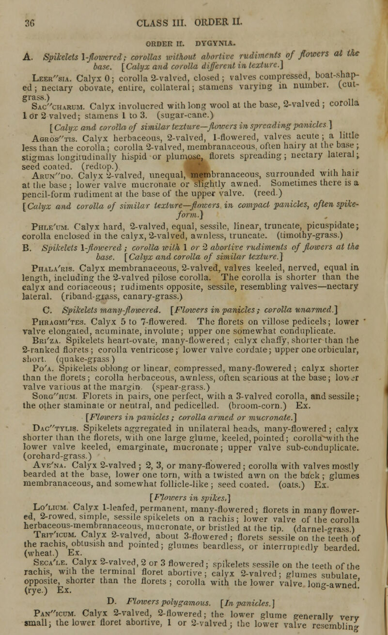 ORDER U. DVGYNTA. A. Spikelets l-flowercd; corollas without abortive rudiments of flowers at, the base. [Calyx and corolla different in texture.] Leersia. Calyx 0; corolla 2-valved, closed ; valves compressed, boat-shap- ed ; nectary obovate, entire, collateral; stamens varying in number, (.cut- grass.) .. Saccharum. Calyx involucred with long wool at the base, 2-valved ; corolla lor 2 valved; stamens 1 to 3. (sugar-cane.) [Calyx and corolla of similar texture—flowers in spreading panicles ] Agrostis. Calyx herbaceous, 2-valved, 1-flowered, valves acute; a little less than the corolla; corolla 2-valved, membranaceous, often hairy at the base ; stigmas longitudinally hispid or plumose, florets spreading; nectary lateral•, seed coated, (redtop.) , . Arundo. Calyx 2-valved, unequal, membranaceous, surrounded with hair at the base ; lower valve mucronate or slightly awned. Sometimes there is a pencil-form rudiment at the base of the upper valve, (reed.) [ Calyx and corolla of similar texture—flowers in compact panicles, often spike- form.} Phle'um. Calyx hard, 2-valved, equal, sessile, linear, truncate, picuspidate; corolla enclosed in the calyx, 2-valved, awnless, truncate, (timothy-grass.) B. Spikclels l-flowered; corolla with 1 or 2 abortive rudiments of flowers at tha base. [Calyx and corolla of similar texture.] Phala'ris. Calyx membranaceous, 2-valved, valves keeled, nerved, equal in length, including the 2-valved pilose corolla. The corolla is shorter than the calyx and coriaceous; rudiments opposite, sessile, resembling valves—nectary lateral, (riband-grass, canary-grass.) C. Spikelets many-flowered. [Flowers in panicles ; corolla unarmed.] Phragmi'tes. Calyx 5 to 7-flowered. The florets on villose pedicels; lower valve elongated, acuminate, involute; upper one somewhat conduplicate. Bri'za. Spikelets heart-ovate, many-flowered ; calyx chaffy, shorter than the 2-ranked florets; corolla ventricose; lower valve cordate; upper one orbicular, short, (quake-grass) Po'a. Spikelets oblong or linear, compressed, many-flowered ; calyx shorter than the florets; corolla herbaceous, awnless, often scarious at the base; low.-r valve various at the margin, (spear-grass.) Sorghum. Florets in pairs, one perfect, with a 3-valved corolla, and sessile; the other staminale or neutral, and pedicelled. (broom-corn.) Ex. [Flowers in panicles; corolla armed or mucronate.] Dactylis. Spikelets aggregated in unilateral heads, many-flowered ; calyx shorter than the florets, with one large glume, keeled,pointed; corolla^withthe lower valve keeled, emarginate, mucronate; upper valve sub-conduplicate. (orchard-grass.) Ave'na. Calyx 2-valved ; 2, 3, or many-flowered ; corolla with valves mostly bearded at the base, lower one torn, with a twisted awn on the back ; glumes membranaceous, and somewhat follicle-like ; seed coated, (oats.) Ex. [Flowers in spikes,] Lo'lium. Calyx 1-leafed, permanent, many-flowered; florets in many flower- ed 2-rowed, simple, sessile spikelets on a rachis ; lower valve of the corolla herbaceous-membranaceous, mucronate, or bristled at the tip (darnel-^rass ) Trit'icum Calyx 2-valved, about 3-flowered; florets sessile on the teeth of the rachis, obtusish and pointed; glumes beardless, or interrupiedlv bearded (wheat.) Ex. ' Seca'le. Calyx 2-valved, 2 or 3 flowered; spikelets sessile on the teeth of the rachis, with the terminal floret abortive; calyx 2-valved; glumes subulate opposite, shorter than the florets ; corolla with the lower valve lon^-awned' (rye.) Ex. & D. Flowers polygamous. [In panicles.] Panicum. Calyx 2-valved, 2-flowered; the lower glume generally verv small; the lower floret abortive, 1 or 2-valved; the lower valve resembling