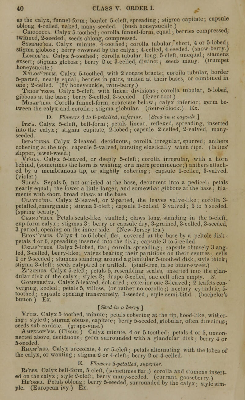 as the calyx, funnel-form; border 5-cleft, spreading; stigma capitate; capsule oblong, 4-celled, naked, many-seeded, (bush honeysuckle.) Chiococca. Calyx 5-tooihed ; corolla funnel-forin, equal; berries compressed, twinned, 2-seeded; seeds oblong, compressed. . Sympho'ria. Calyx minute, 4-tooihed; corolla tubular, short, 4 or 5-lobed; stigma globose ; berry crowned by the calyx ; 4-celled, 4-seeded. (snow-berry.) Lonice'ra. Calyx 5-toothed; corolla tubular, long, 5-cleft, unequal; stamens exsert; stigmas globose ; berry 2 or 3-celled, distinct; seeds many, (trumpet honeysuckle.) Xylosteum. Calyx 5-toothed, with 2 conate bracts ; corolla tubular, border 5-parted. nearly equal; berries in pairs, united at their bases, or combined in one ; 2-celled. (fly honeysuckle, twin-berry.) Triosteum. Calyx 5-cleft, with linear divisions; corolla tubular, 5-lobed, gibbous at the base ; berry 3-celled, 3-seeded. (fever-root.) Mirabilis. Corolla funnel-form, coarctate below ; calyx inferior; germ be- tween the calyx and corolla ; stigma globular, (four-o'clock.) Ex. D. Mowers 4 to 6-petalled, inferior. [Seed in a capsule.] Ite'a. Calyx 5-cleft, bell-form; petals linear, reflexed, spreading, inserted into the calyx; stigma capitate, 2-lobed ; capsule 2-celled, 2-valved, many- seeded. Impa'tiens. Calyx 2-leaved, deciduous; corolla irregular, spurred; anthers cohering at the top; capsule 5-valved, bursting elastically when ripe, (laaies' slipper, jewel-weed.) Vi'ola. Calyx 5-leaved, or deeply 5-cleft; corolla irregular, with a horn behind, (sometimes the horn is wanting, or a mere prominence;) anthers attach- ed by a membranous tip, or slightly cohering; capsule 1-celled, 3-valved. (violet.) Sole'a. Sepals 5, not auricled at the base, decurrent into a pedicel; petals nearly equal; the lower a little larger, and somewhat gibbous at the base ; hla- ments with short, broad claws at the base. Clayto'nia. Calyx 2-leaved, or 2-parted, the leaves valve-like; corolla 3- petalled,emarginate ; stigma 3-cleft; capsule 1-celled, 3 valved; 3 to 5 seeded. (spring beauty.) Ceano'thus. Petals scale-like, vaulted; claws long, standing in the 5-cleft, cup-form calyx; stigmas 3; berry or capsule dry, 3-grained, 3-celled, 3-seeded, 3-parled, opening on the inner side. (New-Jersey tea) Euonvmus. Calyx 4 to 6-lobed, flat, covered at the base by a peltole disk < petals 4 or 6, spreading inserted into the disk; capsule 3 to 5-celled. Celas//tru8. Calyx 5-lobed, flat; corolla spreading; capsule obtusely 3-ang- led, 3-celled, berry-like; valves bearing their partitions on their centres ; cells 1 or 2-seeded ; stamens standing around aglandular 5-toolhed disk; style thick; stigma 3-cleft; seeds calyptred or arilled. (staff-tree, false bitter-sweet.) Zi'ziphus. Calyx 5-cleft; petals 5, resembling scales, inserted into the glan- dular disk of the calyx; styles 2; drupe 2-celled, one cell often empty. S. Gompiire'na. Calyx 5-leaved, coloured ; exterior one 3-leaved ; 2 leafetscon-' verging, keeled; petals 5, villose, (or rather no corolla;) nectary cylindric, 5- toothed ; capsule opening transversely, 1-seeded ; style semi-bind, (bachelor's button.) Ex. [Seed in a berry.] Wtis. Calyx 5-toothed, minute; petals cohering at the tip, hood-like, wither- ing; styleO; stigma obtuse, capitate; berry 5-seeded, globular, often dioecious: seeds sub-cordate, (grape-vine.) Ampelopsis. (Cissus.) Calyx minute, 4 or 5-toothed; petals 4 or 5, uncon- nected above, deciduous; germ surrounded with a glandular disk ; berry 4 or 5-seeded. Rhamnus. Calyx urceolate, 4 or 5-cleft; petals alternating with the lobes of the calyx, or wanting; stigma 2 or 4-cleft; berry 2 or 4-celled. E. Flowers 5-petalled, superior. Ri'bes. Calyx bell-form, 5-cleft, (sometimes flat;) corolla and stamens insert- ed on the calyx ; style 2-cleft; berry many-seeded, (currant, gooseberry ) He'dera. Petals oblong; berry 5-seeded, surrounded by the calyx • style sim- ple. (European ivy ) Ex. '