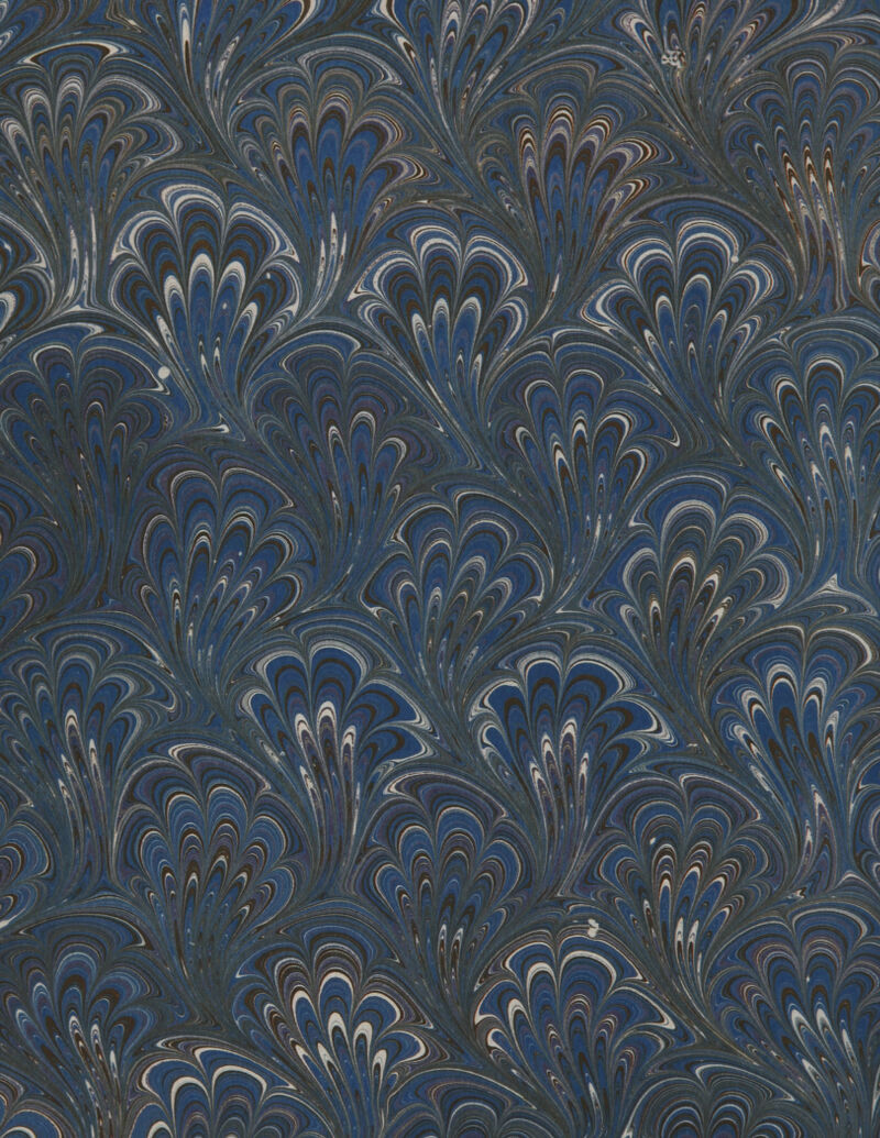 No text description is available for this image