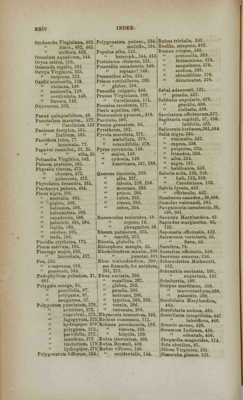 Orobanche Virginiana, 462.  Araer., 462, 463.  uniflora, 462. Orontium aquaticum, 544. Oryza sativa, 578. Osmunda regalis, 591. Ostrya Virginica, 233.  carpinus, 233. Oxalis acetosella, 139.  violacea, 140.  acetosella, 139.  corniculata, 140.  furcata, 140. Oxycoccus, 383. Panax quinquefolium, 48. Pancratium maratim., 522.  Carolinian. 522 Panicum dactylon, 565.  Italicum, 565. Passiflora lutea, 77.  incarnata, 77. Papaver somnifer., 23, 25.   alba, 25 Peltandra Virginica, 542. Phleum pratense, 565. Physalis viscosa, 473. •■' obscura, 473.  pubescens, 473. Phytolacca decandra, 365. Pinckneya pubens, 404. Pinus nigra, 505. '' australis, 495.  glabra, 506.  balsamea, 506.  balsainifera. 506.  canadensis, 506.  palustris, 495, 504.  rigida, 504. •' strobus, 505.  taeda, 506. Piscidia erythrina, 175. Pisum sativum, 194. Plantago major, 436.  lanceolata, 437. Poa, 585.  compressa, 585. '* pratensis, 585. Podophyllum peltatum, 21, 601. Polygala senega, 85.  paucifolia, 87.  polygama, 87.  sanguinea, 87. Polygonum punctatum, 370.  aviculare, 372.  convolvul., 373. « fagopyrum, 373  hydropiper. 370  polygama, 372.  parvifolia, 372.  scandens, 373.  tinctorium, 179  hydropiper, 370 Polygonatum biflorum, 534 Polygonatum pubesc, 534.  multiflo., 534. Populus alba, 343. heteroph., 344, 413 Portulacea olcracea, 131. Potentilla canadensis, 140. u reptans? 140. Prenanthes alba, 435. Prinos verticillatus, 389.  glaber, 390. Prunella vulgaris, 446. Prunus Virginiana, 169.  Caroliniana, 171. Psoralea esculenta, 177. Pteris aquilina, 590. Pterocaulon pycnost., 419. Puccinia, 598. Punica granatum, 58. Pyrethrum, 362. Pyrola maculata, 377.  umbellata, 378.  rotundifolia, 378. Pyrus coronaria, 149. ' malus, 149. ' cydonia, 149. ' Americana, 167,168. Quercus tinctoria, 238.  alba, 287.  falcata, 239, 256.  montana, 263.  prinos, 264.  rubra, 262.  virens, 263.  suber, 264. Ranunculus sceleratus, 18.  repens. 19.  phragmites, 16. Rheum palmatum, 373.  emodii, 373. Rhexia, glabella, 57. Rhizophora mangle, 55. Rhododendron maxim., 380  punctat. 381 Rhus toxicodendron, 200; see Sumach, for antidote, 201, 273. Rhus coriaria, 209.  copallina, 207.  glabra, 202.  pumila, 208. radicans, 200.  typnina, 203, 208.  vernix, 206.  venenata, 206. Rhyncosia tomentosa, 193. Ricinus communis, 111. Robinia pseudacacia, 188. u viscosa, 193.  hispida, 189. Rubia tinctorium, 406. Rubia Brownii, 406. Rubus villosus, 140.  occidentalia, 144. Rubus trivialis, 141. Ruellia, strepens, 462. Rumex crispus, 368.  acetosella, 368.  Britannicus, 370.  sanguineus, 370.  acetosa, 369.  obtusifolius, 370.  ' divaricatus, 370. Sabal adansonii, 527.  pumila, 527. Sabbatia angularis, 479.  gracilis, 480.  stellaris, 480. Saccharum omcinarum,577. Sagittaria sagittif., 57, 536.  latifolia, 536. Salicornia herbacea,361,594 Salix nigra, 334.  viminalis, 337.  caprea, 336.  purpurea, 335.  triandra, 336.  alba, 334.  nigra, 187.  babilonica, 343. Salsola soda, 133, 359. kali, 133, 359. Caroliniana, 133. Salvia lyrata, 442. officinalis, 442. Sambucus canaden., 30,408. Samolus valerandi, 385. Sanguinaria canadensis, 30, 599, 601. Sanicula Marylandica, 42. Sapindus marginatus, 83, 133.. Saponaria officinalis, 132. Sarracenia variolaris, 53.  flava, 53. Sarothra, 79. Sassafras officinale, 350. Saururus cernuus, 334. Schoenolerion Michauxii, 532. Schrankia uncinata, 197.  angustata, 197. Schubertia, 508. Scirpus maritimus, 588.  macrostachyus,588.  palustris, 589. Scrofularia Marylandica, 465. i Scrofularia nodosa, 465. Scutellaria integrifolia, 447 lateriflora, 446. Senecio aureus, 426. Sesamum Indicum, 450.  orientale, 450. Shepardia magnoides, 174. Sida abutilon, 91. Silene Virginica, 131. Simaruba glauca, 137.