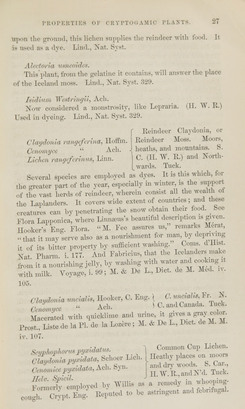ttpon the ground, this lichen supplies the reindeer with food. It is used as a dye. Lind., Nat. Syst. Alectvria umecides. This'plant, from the gelatine it contains, will answer the place of the Iceland moss. Lind., Nat. Syst. 329. Isidmm Westrmgu, Ach. Now considered a monstrosity, like Lepraria. (II. W. R.) Used in dyeing. Lind., Nat. Syst. 329. ' Eeindeer Claydonia, or ('laydon ia rang* f* rma, Hoffm. Reindeer Moss. Moors, Oenomya  Acli. \ heaths, and mountains. S. Lichen rmgef< rmus, Linn. C. (II. W. E.) and North- ^ wards. Tuck. Several species are employed as dyes. It is this which, for the greater part of the year, especially m winter, is the support of the vast herds of reindeer, wherein consist all the wealth ot the Laplanders. It covers wide extent of countries-and flu creatures can by penetrating the snow obtain their food. _ See Flora Lapponica, where IAnnams's beautiful description is given. Hooker's Eng. Flora. M. Fee assures us, remarks Herat, that it may serve also as a nourishment for man by depriving it of its bitter property by sufficient washing. Coins, d Hist Nat Pharm. i. 177. And Fabricius, that the Icelanders make from it a nourishing jelly, by washing with water and copfang it witli milk. Voyage, i. 99; M. & De L., Diet, de M. Med. n. L05. (,kygowSa llll(,(tJ^ IIo.,ker, 0. Eng. ) C. ^lncialis Fr H. Cel ice « Ach. fC.andCanada luck. Macerated with quicklime and urine, it gives a gray color. B.SSS de la PI de la LozeTe ; M. & De L., Diet, de M. M. iv. 107. SauphmhyruB^y^Mtus. ] Common Cup Lichen. f^tua^Zata, Schoer Lich. Heathy places on rno^rs , . •!.+ , \r-l, Svn [ and dry woods, b. oar., '• Mm**-.**- '>■ j u.AV.I!..a,HlN'a. Tuck. v1''' 'X',',m,]..v,a by Willis as a remedy in whooping-