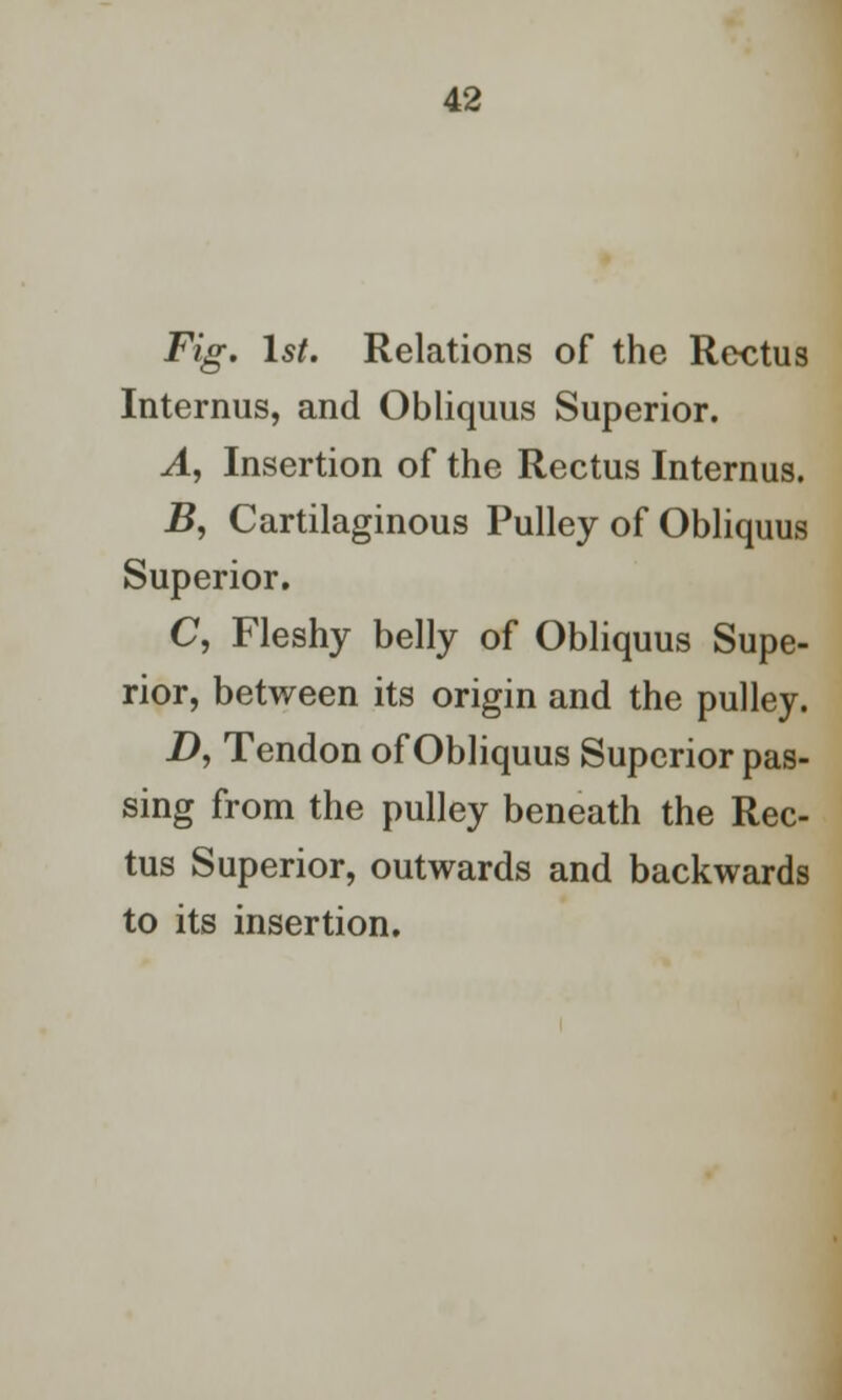 Fig. 1st. Relations of the Rectus Interims, and Obliquus Superior. A, Insertion of the Rectus Internus. B, Cartilaginous Pulley of Obliquus Superior. C, Fleshy belly of Obliquus Supe- rior, between its origin and the pulley. D, Tendon of Obliquus Superior pas- sing from the pulley beneath the Rec- tus Superior, outwards and backwards to its insertion.