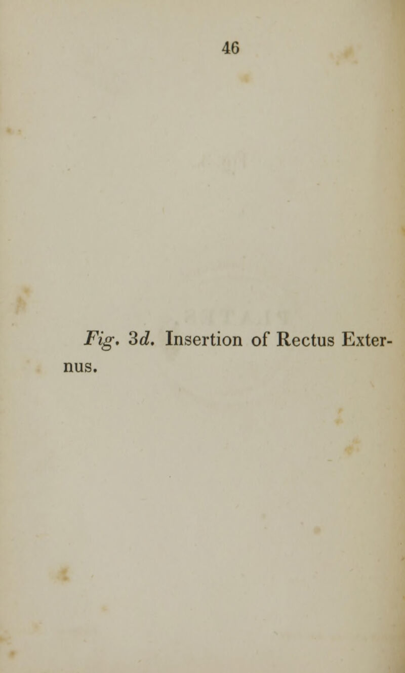 Fig. 3d. Insertion of Rectus Exter- nus.