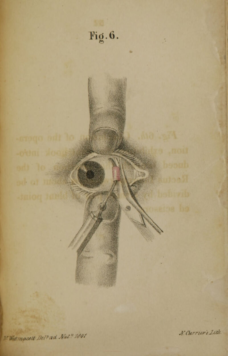 Fig.6, --■ ^ mf J'CUrri;i-sJ.iri