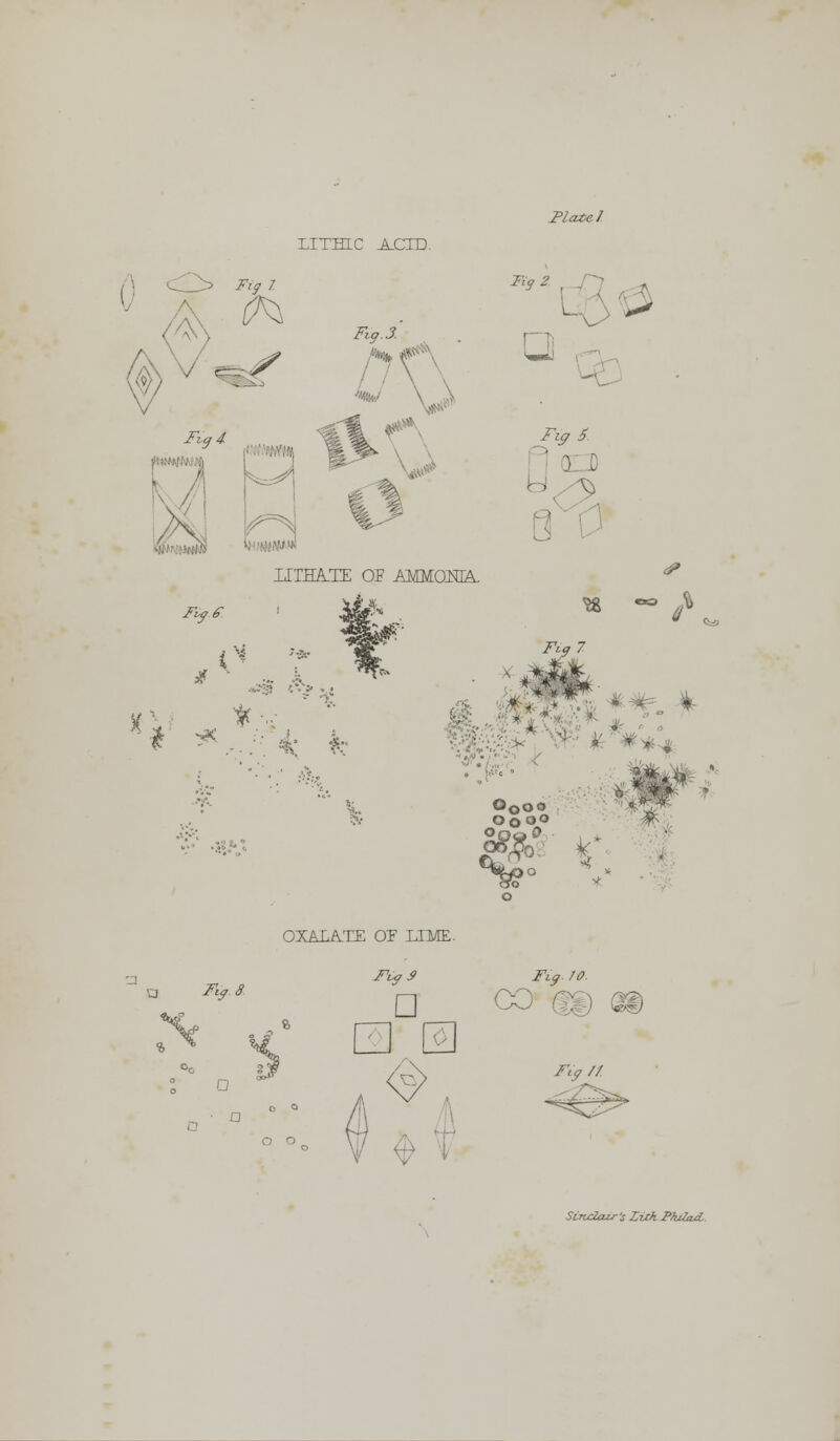 LITBJC ACID. Flatel /A Fig I Fiq4 I Fig. J. i Jiy* □ > -^y ^ ^?-* U1HA.TE OF AMMONIA. Jt <*» O r If--- # * /• 2, i. Fig 7 O0oo Ooo° ? OXALATE OF LIME. 'j Fig. 8 Fig. 70. Fig J? a Fig // Sinclair's Zith Pkrfad.