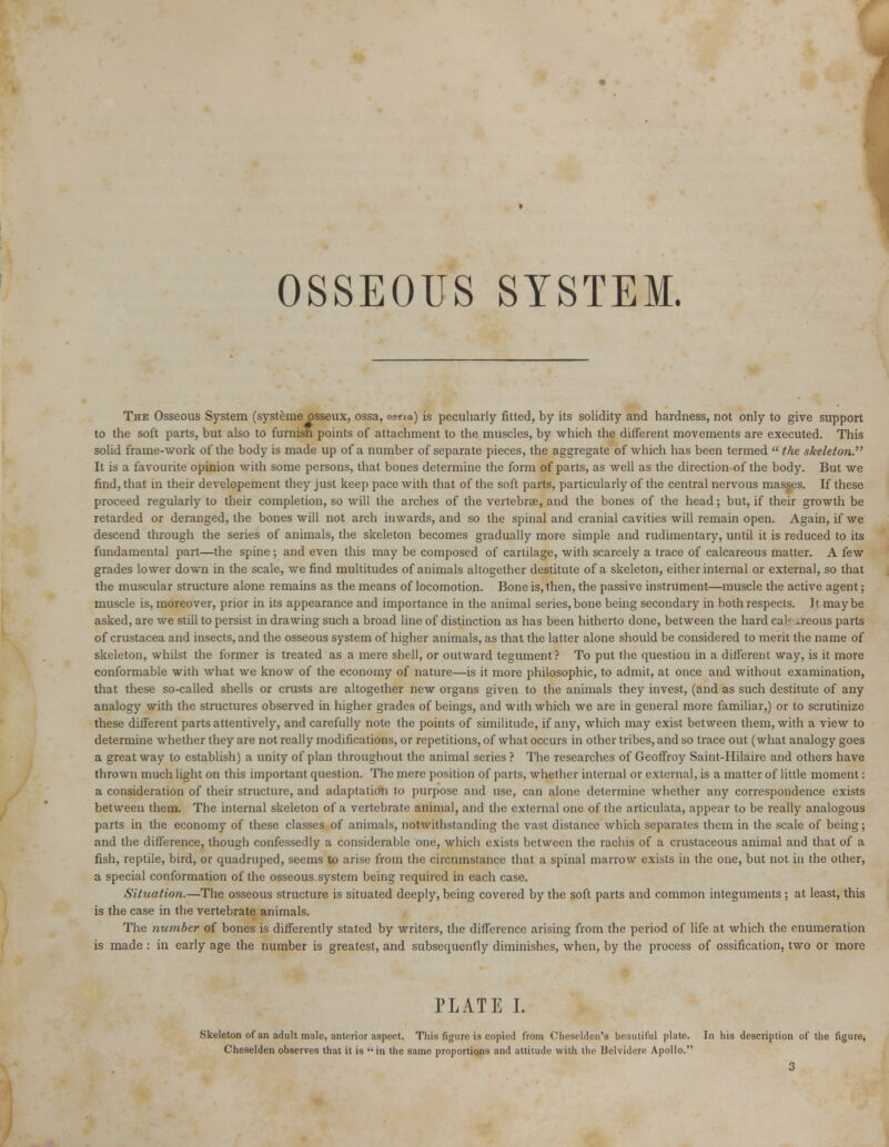 OSSEOUS SYSTEM. The Osseous System (systeme osseux, ossa, oatta) is peculiarly fitted, by its solidity and hardness, not only to give support to the soft parts, but also to furnish points of attachment to the muscles, by which the different movements are executed. This solid frame-work of the body is made up of a number of separate pieces, the aggregate of which has been termed the skeleton. It is a favourite opinion with some persons, that bones determine the form of parts, as well as the direction of the body. But we find, that in their developement they just keep pace with that of the soft parts, particularly of the central nervous masses. If these proceed regularly to their completion, so will the arches of the vertebrae, and the bones of the head; but, if their growth be retarded or deranged, the bones will not arch inwards, and so the spinal and cranial cavities will remain open. Again, if we descend through the series of animals, the skeleton becomes gradually more simple and rudimentary, until it is reduced to its fundamental part—the spine ; and even this may be composed of cartilage, with scarcely a trace of calcareous matter. A few grades lower down in the scale, we find multitudes of animals altogether destitute of a skeleton, either internal or external, so that the muscular structure alone remains as the means of locomotion. Bone is, then, the passive instrument—muscle the active agent; muscle is, moreover, prior in its appearance and importance in the animal series,bone being secondary in both respects. It maybe asked, are we still to persist in drawing such a broad line of distinction as has been hitherto done, between the hard calr ^reous parts of Crustacea and insects, and the osseous system of higher animals, as that the latter alone should be considered to merit the name of skeleton, whilst the former is treated as a mere shell, or outward tegument? To put the question in a different way, is it more conformable with what we know of the economy of nature—is it more philosophic, to admit, at once and without examination, that these so-called shells or crusts are altogether new organs given to the animals they invest, (and as such destitute of any analogy with the structures observed in higher grades of beings, and with which we are in general more familiar,) or to scrutinize these different parts attentively, and carefully note the points of similitude, if any, which may exist between them, with a view to determine whether they are not really modifications, or repetitions, of what occurs in other tribes, and so trace out (what analogy goes a great way to establish) a unity of plan throughout the animal series ? The researches of Geoffroy Saint-Hilaire and others have thrown much light on this important question. The mere position of parts, whether internal or external, is a matter of little moment: a consideration of their structure, and adaptation to purpose and use, can alone determine whether any correspondence exists between them. The internal skeleton of a vertebrate animal, and the external one of the articulata, appear to be really analogous parts in the economy of these classes of animals, notwithstanding the vast distance which separates them in the scale of being; and the difference, though confessedly a considerable one, which exists between the rachis of a crustaceous animal and that of a fish, reptile, bird, or quadruped, seems to arise from the circumstance that a spinal marrow exists in the one, but not in the other, a special conformation of the osseous system being required in each case. Situation.—The osseous structure is situated deeply, being covered by the soft parts and common integuments ; at least, this is the case in the vertebrate animals. The number of bones is differently stated by writers, the difference arising from the period of life at which the enumeration is made : in early age the number is greatest, and subsequently diminishes, when, by the process of ossification, two or more PLATE I. Skeleton of an adult male, anterior aspect. This figure is copied from Chesclden's beautiful plate. In his description of the figure, Cheselden observes that it is in the same proportions and attitude with the Belvidere Apollo.