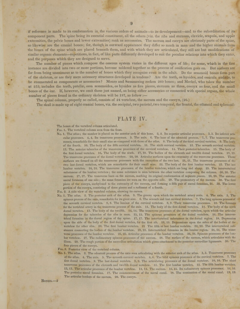 if reference is made to its conformation in the various orders of animals—to its developement—and to the subordination of its component parts. The spine being its essential constituent, all the others (viz. the ribs and sternum, clavicle, scapula, and upper extremities, the pelvic bones and lower extremities) rank as accessories. The sacrum and coccyx are obviously parts of the spine, so likewise are the cranial bones; for, though in outward appearance they differ so much in man and the higher animals from the bones of the spine which are placed beneath them, and with which they are articulated, they still are but modifications of similar organic elements—repetitions, in fact, of like parts differently developed to suit the peculiar relations into which they enter, and the purposes which they are designed to serve. The number of pieces which compose the osseous system varies in the different ages of life; for some, which in the first instance are divided into two or more portions, become soldered together as the process of ossification goes on. But authors are far from being unanimous as to the number of bones which they recognise even in the adult. Do the sesamoid bones form part of the skeleton, or are they mere accessory structures developed in tendons ? Are the teeth, os hyoides, and ossicula auditus, to be enumerated as components or accessories ? Monro and Soemmering reckon 260 bones; and Meckel, who takes the number at 253, includes the teeth, patellae, ossa sesamoidea, os hyoides as five pieces, sternum as three, coccyx as four, and the small bones of the ear. If, however, we omit those just named, as being either accessories or connected with special organs, the whole number of pieces found in the ordinary skeleton will be 197, as follow :— The spinal column, properly so called, consists of 24 vertebrae, the sacrum and the coccyx, (26.) The skull is made up of eight cranial bones, viz. the occipital, two parietal, two temporal, the frontal, the ethmoid and sphenoid: PLATE IV. The bones of the vertebral column articulated. Fig. I. The vertebral column seen from the front. No. 1. The atlas; the number is placed on the anterior arch of this bone. 2, 2. Its superior articular processes. 3, 3. Its inferior arti- cular processes. 4, 4. Its transverse processes. 5. The axis. 6. The base of the odontoid process. 7, 7. The transverse pro- cesses, remarkable for their small size as compared with those of the atlas. 8. The body of the third cervical vertebra. 9. The body of the fourth. 10. The body of the fifth cervical vertebra. 11. The sixth cervical vertebra. 12. The seventh cervical vertebra. 13. The anterior tubercles of the transverse processes of the cervical vertebras. 11. Their posterior tubercles. 15. The body of the first dorsal vertebra. 16. The body of the sixth. 17, 18. The bodies of the eleventh and twelfth dorsal vertebrae. 19, 19. The transverse processes of the dorsal vertebras. 20, 20. Articular surfaces upon the extremity of the tranverse processes. These surfaces are formed on all the transverse processes with the exception of the two last. 21, 21. The transverse processes of the. two last dorsal vertebrae, which are remarkable for their small size. 22. The body of the first lumbar vertebra. 23. The last lumbar vertebra. 34,24. The transverse processes of the lumbar vertebra;, which are long and sharp. 25. The intervertebral substances of the lumbar vertebrae ; the same substance is seen between the other vertebras composing the column. 26, 26. The sacrum. 27, 27. The transverse lines on the sacrum, marking its original conformation of separate pieces. 28, 28. The anterior sacral foramina of one side ; the same foramina are seen on the opposite side. 29. The promontory of the sacrum. 30. The first piece of the coccyx, anchylosed to the extremity of the sacrum, and forming a fifth pair of sacral foramina, 31. 32. The lower portion of the coccyx, consisting of three pieces and a rudiment of a fourth. Fig. 2. A side view of the vertebral column, showing its curves. No. 1. The atlas. 2. The posterior arch of the atlas. 3. The groove upon which the vertebral artery rests. 4. The axis. 5. The spinous process of the axis, remarkable for its great size. 6. The seventh and last cervical vertebra. 7. The long spinous process of the seventh cervical vertebra. 8,8. The laminae of the cervical vertebrae. 9,9. Their transverse processes. 10. The foramen for the vertebral artery in the transverse process of the axis. 11. The body of the first dorsal vertebra. 12. The body of the sixth dorsal vertebra. 13. The body of the twelfth. 14, 14. The transverse processes of the dorsal vertebras, upon which the articular depression for the tubercles of the ribs is seen. 15, 15. The spinous processes of the dorsal vertebrae. 16. The interver- tebral foramina in the dorsal region of the spine. 17, 17. The intervertebral substances in the dorsal region. 18. Depression upon the side of the body of the first dorsal vertebra, for the first rib. 19, 19. Depressions upon the sides of the bodies of the vertebrae for other ribs. 20. The first lumbar vertebra. 81 The fifth of last lumbar vertebra. 22,22. The intervertebral sub- stances connecting the bodies of the lumbar vertebrae. 23, 23. Intervertebral foramina in the lumbar region. 21, 24. The trans- verse processes of the lumbar vertebrae. 25, 25. Articul - of the lumbar vertebras. 26, 26. Spinous processes of the lum- bar vertebras. 27. The rudimentary spinous processes of the sacrum. 28. The surface of the sacrum, which articulates with the ilium. 29. The rough portion of the saero-iliac articulation which gives attachment to the posterior sacro-iliac ligaments. 30. The four pieces of the coccyx. Fig. 3. Posterior view of the vertebral column. No. 1. The atlas. 2. The odontoid process of the axis seen articulating with the anterior arch of the atlas. 3, 3. Transverse processes of the atlas. 4. The axis. 5. The Seventh cervi 6, 6. The bifid spinous processes of the cervical vertebras. 7. The first dorsal vertebra. 8. The hist dorsal vertebra. 9,9. The articulating processes of the dorsal vertebras. 10,10. The short transverse processes of the eleventh and twelfth dorsal vertebrae. 11. The first lumbar vertebra. 12. The fifth lumbar vertebra. 13, 13. The articular processes of the lumbar vertebra. 11, 11. The sacrum. 15, 15. Its rudimentary spinous processes. 16,16. The posterior sacral foramina. 17. The commencement of the sacral canal. 18. The termination of the sacral canal. 19, 19. The articular borders of the sacrum. 20. The coccyx. Bones.—2