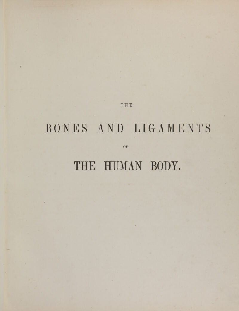 THE BONES AND LIGAMENTS OF THE HUMAN BODY.