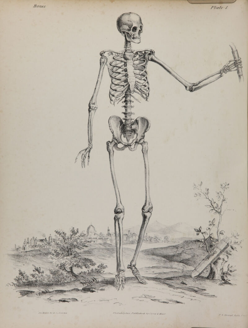 Hfl//f\<i /J/rr/r / 1 i t < M *^tL& ^■S*.- <><:-*' ^-mimj ' -^Sk^ /■////.„/,//>///.i ////>/,.■</„,( /,,-, ;, ■,, ,(. //.,,/ •// /.,//,