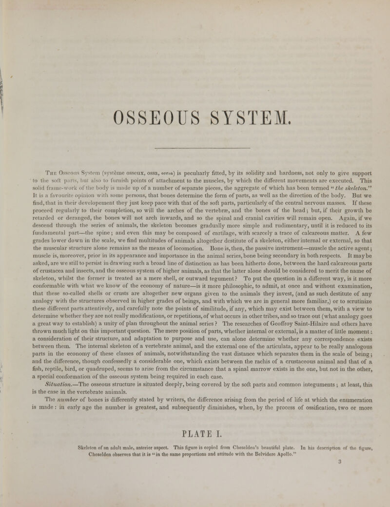 OSSEOUS SYSTEM. The Osseous System (systeme osseux, ossa, oatia) is peculiarly fitted, by its solidity and hardness, not only to give support to the soft parts, tau also to furnish points of attachment to the muscles, by Avhich the different movements are executed. This solid frame-work of the body is made up of a number of separate pieces, the aggregate of which has been termed  the skeleton. It is a favourite opinion with some persons, that bones determine the form of parts, as well as the direction of the body. But we find, that in their developement they just keep pace with that of the soft parts, particularly of the central nervous masses. If these proceed regularly to their completion, so will the arches of the vertebras, and the bones of the head; but, if their growth be retarded or deranged, the bones will not arch inwards, and so the spinal and cranial cavities will remain open. Again, if we descend through the series of animals, the skeleton becomes gradually more simple and rudimentary, until it is reduced to its fundamental part—the spine ; and even this may be composed of cartilage, with scarcely a trace of calcareous matter. A few grades lower down in the scale, we find multitudes of animals altogether destitute of a skeleton, either internal or external, so that the muscular structure alone remains as the means of locomotion. Bone is, then, the passive instrument—muscle the active agent; muscle is, moreover, prior in its appearance and importance in the animal series, bone being secondary in both respects. It maybe asked, are we still to persist in drawing such a broad line of distinction as has been hitherto done, between the hard calcareous parts of Crustacea and insects, and the osseous system of higher animals, as that the latter alone should be considered to merit the name of skeleton, whilst the former is treated as a mere shell, or outward tegument ? To put the question in a different way, is it more conformable with what we know of the economy of nature—is it more philosophic, to admit, at once and without examination, that these so-called shells or crusts are altogether new organs given to the animals they invest, (and as such destitute of any analogy with the structures observed in higher grades of beings, and with which we are in general more familiar,) or to scrutinize these different parts attentively, and carefully note the points of similitude, if any, which may exist between them, with a view to determine whether they are not really modifications, or repetitions, of what occurs in other tribes, and so trace out (what analogy goes a great way to establish) a unity of plan throughout the animal series ? The researches of Geoffroy Saint-Hilaire and others have thrown much light on this important question. The mere position of parts, whether internal or external, is a matter of little moment; a consideration of their structure, and adaptation to purpose and use, can alone determine whether any correspondence exists between them. The internal skeleton of a vertebrate animal, and the external one of the articulata, appear to be really analogous parts in the economy of these classes of animals, notwithstanding the vast distance which separates them in the scale of being; and the difference, though confessedly a considerable one, which exists between the rachis of a crustaceous animal and that of a fish, reptile, bird, or quadruped, seems to arise from the circumstance that a spinal marrow exists in the one, but not in the other, a special conformation of the osseous system being required in each case. Situation.—The osseous structure is situated deeply, being covered by the soft parts and common integuments ; at least, this is the case in the vertebrate animals. The number of bones is differently stated by writers, the difference arising from the period of life at which the enumeration is made : in early age the number is greatest, and subsequently diminishes, when, by the process of ossification, two or more PLATE I. Skeleton of an adult male, anterior aspect. This figure is copied from Cheselden's beautiful plate. In his description of the figure, Cheselden observes that it is in the same proportions and attitude with the Belvidere Apollo.