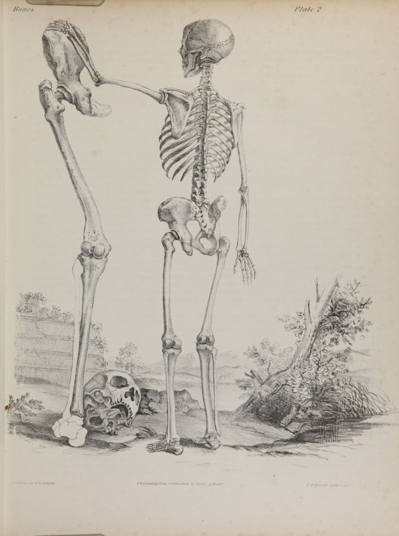 h'o//i /'/«/, y *& • /'////in/,///.',/,, /'//Mts/tfi/ '<; 1,1,1/ i //.,//