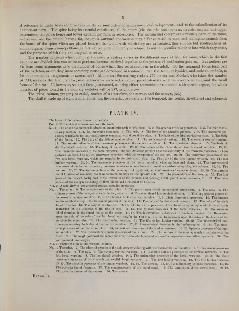 component parts. The spine being its essential constituent, all the others (viz. the ribs and sternum, clavicle, scapula, and upper extremities, the pelvic bones and lower extremities) rank as accessories. The sacrum and coccyx are obviously parts of the spine, so likewise are the cranial bones; for, though in outward appearance they differ so much in man and the higher animals from the bones of the spine which are placed beneath them, and with which they are articulated, they still are but modifications of similar organic elements—repetitions, in fact, of like parts differently developed to suit the peculiar relations into which they enter, and the purposes which they are designed to serve. The number of pieces which compose the osseous system varies in the different ages of life; for some, which in the first instance are divided into two or more portions, become soldered together as the process of ossification goes on. But authors are far from being unanimous as to the number of bones which they recognise even in the adult. Do the sesamoid bones form part of the skeleton, or are they mere accessory structures developed in tendons ? Are the teeth, os hyoides, and ossicula auditus, to be enumerated as components or accessories? Monro and Soemmering reckon 260 bones; and Meckel, who takes the number at 253, includes the teeth, patellae, ossa sesamoidea, os hyoides as five pieces, sternum as three, coccyx as four, and the small bones of the ear. If, however, we omit those just named, as being either accessories or connected with special organs, the whole number of pieces found in the ordinary skeleton will be 197, as follow:— The spinal column, properly so called, consists of 24 vertebras, the sacrum and the coccyx, (26.) The skull is made up of eight cranial bones, viz. the occipital, two parietal, two temporal, the frontal, the ethmoid and sphenoid: PLATE IV. The bones of the vertebral column articulated. Fig. 1. The vertebral column seen from the front. No. 1. The atlas; the number is placed on the anterior arch of this bone. 2, 2. Its superior articular processes. 3, 3. Its inferior arti- cular processes. 4, 4. Its transverse processes. 5. The axis. 6. The base of the odontoid process. 7, 7. The transverse pro- cesses, remarkable for their small size as compared with those of the atlas. 8. The body of the third cervical vertebra. 9. The body of the fourth. 10. The body of the fifth cervical vertebra. 11. The sixth cervical vertebra. 12. The seventh cervical vertebra. 13. The anterior tubercles of the transverse processes of the cervical vertebra;. 14. Their posterior tubercles. 15. The body of the first dorsal vertebra. 16. The body of the sixth. 17, 18. The bodies of the eleventh and twelfth dorsal vertebrae. 19, 19. The transverse processes of the dorsal vertebrae. 20, 20. Articular surfaces upon the extremity of the tranverse processes. These surfaces are formed on all the transverse processes with the exception of the two last. 21, 21. The transverse processes of the two last dorsal vertebrae, which are remarkable for their small size. 22. The body of the first lumbar vertebra. 23. The last lumbar vertebra. 24, 24. The transverse processes of the lumbar vertebrae, which are long and sharp. 25. The intervertebral substances of the lumbar vertebrae; the same substance is seen between the other vertebrae composing the column. 26,26. The sacrum. 27, 27. The transverse lines on the sacrum, marking its original conformation of separate pieces. 28, 28. The anterior sacral foramina of one side ; the same foramina are seen on the opposite side. 29. The promontory of the sacrum. 30. The first piece of the coccyx, anchylosed to the extremity of the sacrum, and forming a fifth pair of sacral foramina, 31. 32. The lower portion of the coccyx, consisting of three pieces and a rudiment of a fourth. Fig. 2. A side view of the vertebral column, showing its curves. No. 1. The atlas. 2. The posterior arch of the atlas. 3. The groove upon which the vertebral artery rests. 4. The axis. 5. The spinous process of the axis, remarkable for its great size. 6. The seventh and last cervical vertebra. 7. The long spinous process of the seventh cervical vertebra. 8, 8. The laminae of the cervical vertebrae. 9, 9. Their transverse processes. 10. The foramen for the vertebral artery in the transverse process of the axis. 11. The body of the first dorsal vertebra. 12. The body of the sixth dorsal vertebra. 13. The body of the twelfth. 14, 14. The transverse processes of the dorsal vertebrae, upon which the articular depression for the tubercles of the ribs is seen. 15, 15. The spinous processes of the dorsal vertebra. 16. The interver- tebral foramina in the dorsal region of the spine. 17, 17. The intervertebral substances in the dorsal region. 18. Depression upon the side of the body of the first dorsal vertebra, for the first rib. 19, 19. Depressions upon the sides of the bodies of the vertebrae for other ribs. 20. The first lumbar vertebra. 21 The fifth or last lumbar vertebra. 22, 22. The intervertebral sub- stances connecting the bodies of the lumbar vertebrae. 23, 23. Intervertebral foramina in the lumbar region. 24, 24. The trans- verse processes of the lumbar vertebrae. 25, 25. Articular processes of the lumbar vertebrae. 26, 26. Spinous processes of the lum- bar vertebrae. 27. The rudimentary spinous processes of the sacrum. 28. The surface of the sacrum, which articulates with the ilium. 29. The rough portion of the sacro-iliac articulation which gives attachment to the posterior sacro-iliuc ligaments. 30. The four pieces of the coccyx. Fig. 3. Posterior view of the vertebral column. No. 1. The atlas. 2. The odontoid process of the axis seen articulating with the anterior arch of the atlas. 3, 3. Transverse processes of the atlas. 4. The axis. 5. The seventh cervical vertebra. 6, 6. The bifid spinous processes of the cervical vertebrae. 7. The first dorsal vertebra. 8. The last dorsal vertebra. 9, 9. The articulating processes of the dorsal vertebrae. 10, 10. The short transverse processes of the eleventh and twelfth dorsal vertebrae. 11. The first lumbar vertebra. 12. The fifth lumbar vertebra. 13, 13. The articular processes of the lumbar vertebrae. 14,14. The sacrum. 15,15. Its rudimentary spinous processes. 16,16. The posterior sacral foramina. 17. The commencement of the sacral canal. IS. The termination of the sacral canal. 19, 19. The articular borders of the sacrum. 20. The coccyx. Bones.—2