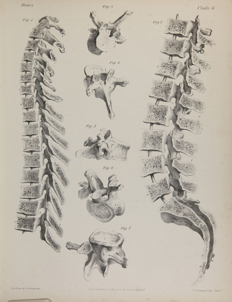 />'()//( y Fig 3 flatt 6 Fig /- Fig 5 Fig 6 Fig / 1 ■y,j,Vi; ;i A f k $«! ■ ■-■ tf //// A'tn/tr #rt1 < ir/iolrs/fi