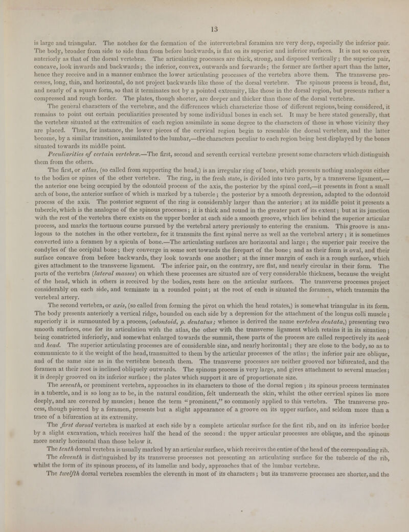 is large and triangular. The notches for the formation of the intervertebral foramina are very deep, especially the inferior pair. The body, broader from side to side than from before backwards, is flat on its superior and inferior surfaces. It is not so convex anteriorly as that of the dorsal vertebrae. The articulating processes are thick, strong, and disposed vertically; the superior pair, concave, look inwards and backwards; the inferior, convex, outwards and forwards; the former are farther apart than the latter, hence they receive and in a manner embrace the lower articulating processes of the vertebra above them. The transverse pro- cesses, long, thin, and horizontal, do not project backwards like those of the dorsal vertebra;. The spinous process is broad, flat, and nearly of a square form, so that it terminates not by a pointed extremity, like those in the dorsal region, but presents rather a compressed and rough border. The plates, though shorter, are deeper and thicker than those of the dorsal vertebras. The general characters of the vertebrae, and the differences which characterize those of different regions,being considered, it remains to point out certain peculiarities presented by some individual bones in each set. It may be here stated generally, that the vertebras situated at the extremities of each region assimilate in some degree to the characters of those in whose vicinity they are placed. Thus, for instance, the lower pieces of the cervical region begin to resemble the dorsal vertebras, and the latter become, by a similar transition, assimilated to the lumbar,—the characters peculiar to each region being best displayed by the bones situated towards its middle point. Peculiarities of certain vertebras.—The first, second and seventh cervical vertebras present some characters which distinguish them from the others. The first, or atlas, (so called from supporting the head,) is an irregular ring of bone, which presents nothing analogous either to the bodies or spines of the other vertebras. The ring, in the fresh state, is divided into two parts, by a transverse ligament,— the anterior one being occupied by the odontoid process of the axis, the posterior by the spinal cord,—it presents in front a small arch of bone, the anterior surface of which is marked by a tubercle ; the posterior by a smooth depression, adapted to the odontoid process of the axis. The posterior segment of the ring is considerably larger than the anterior; at its middle point it presents a tubercle, which is the analogue of the spinous processes; it is thick and round in the greater part of its extent; but at its junction with the rest of the vertebra there exists on the upper border at each side a smooth groove, which lies behind the superior articular process, and marks the tortuous course pursued by the vertebral artery previously to entering the cranium. This groove is ana- logous to the notches in the other vertebras, for it transmits the first spinal nerve as well as the vertebral artery; it is sometimes converted into a foramen by a spicula of bone.—The articulating surfaces are horizontal and large; the superior pair receive the condyles of the occipital bone; they converge in some sort towards the forepart of the bone; and as their form is oval, and their surface concave from before backwards, they look towards one another; at the inner margin of each is a rough surface, which gives attachment to the transverse ligament. The inferior pair, on the contrary, are flat, and nearly circular in their form. The parts of the vertebra (lateral masses) on which these processes are situated are of very considerable thickness, because the weight of the head, which in others is received by the bodies, rests here on the articular surfaces. The transverse processes project considerably on each side, and terminate in a rounded point; at the root of each is situated the foramen, which transmits the vertebral artery. The second vertebra, or axis, (so called from forming the pivot on which the head rotates,) is somewhat triangular in its form. The body presents anteriorly a vertical ridge, bounded on each side by a depression for the attachment of the longus colli muscle; superiorly it is surmounted by a process, (odontoid, p. dentatus; whence is derived the name vertebra dentata,) presenting two smooth surfaces, one for its articulation with the atlas, the other with the transverse ligament which retains it in its situation ; being constricted inferiorly, and somewhat enlarged towards the summit, these parts of the process are called respectively its neck and head. The superior articulating processes are of considerable size, and nearly horizontal; they are close to the body, so as to communicate to it the weight of the head, transmitted to them by the articular processes of the atlas; the inferior pair are oblique, and of the same size as in the vertebrae beneath them. The transverse processes are neither grooved nor bifurcated, and the foramen at their root is inclined obliquely outwards. The spinous process is very large, and gives attachment to several muscles; it is deeply grooved on its inferior surface ; the plates which support it are of proportionate size. The seventh, or prominent vertebra, approaches in its characters to those of the dorsal region ; its spinous process terminates in a tubercle, and is so long as to be, in the natural condition, felt underneath the skin, whilst the other cervical spines lie more deeply, and are covered by muscles; hence the term  prominent, so commonly applied to this vertebra. The transverse pro- cess, though pierced by a foramen, presents but a slight appearance of a groove on its upper surface, and seldom more than a trace of a bifurcation at its extremity. The first dorsal vertebra is marked at each side by a complete articular surface for the first rib, and on its inferior border by a slight excavation, which receives half the head of the second: the upper articular processes are oblique, and the spinous more nearly horizontal than those below it. The tenth dorsal vertebra is usually marked by an articular surface, which receives the entire of the head of the corresponding rib. The eleventh is distinguished by its transverse processes not presenting an articulating surface for the tubercle of the rib, whilst the form of its spinous process, of its lamellae and body, approaches that of the lumbar vertebras. The twelfth dorsal vertebra resembles the eleventh in most of its characters; but its transverse processes are shorter, and the