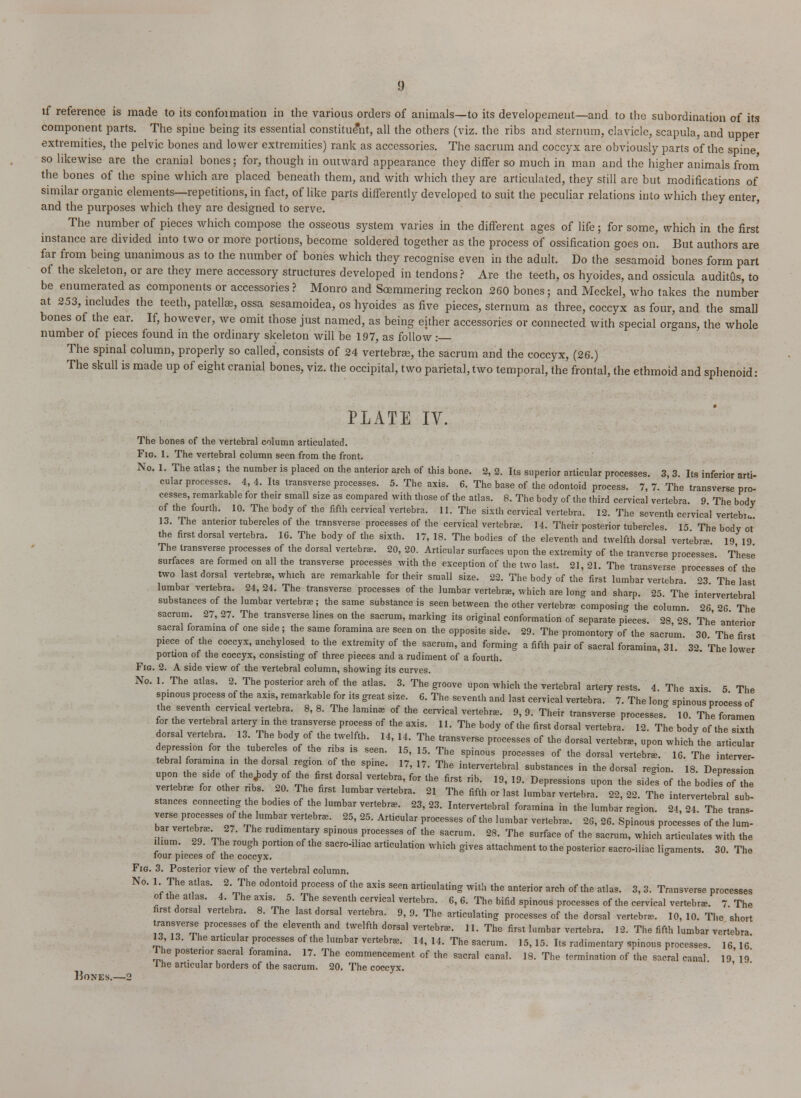 if reference is made to its confoimation in the various orders of animals—to its developement—and to the subordination of its component parts. The spine being its essential constituent, all the others (viz. the ribs and sternum, clavicle, scapula, and upper extremities, the pelvic bones and lower extremities) rank as accessories. The sacrum and coccyx are obviously parts of the spine, so likewise are the cranial bones; for, though in outward appearance they differ so much in man and the higher animals from the bones of the spine which are placed beneath them, and with which they are articulated, they still are but modifications of similar organic elements—repetitions, in fact, of like parts differently developed to suit the peculiar relations into which they enter, and the purposes which they are designed to serve. The number of pieces which compose the osseous system varies in the different ages of life; for some, which in the first instance are divided into two or more portions, become soldered together as the process of ossification goes on. But authors are far from being unanimous as to the number of bones which they recognise even in the adult. Do the sesamoid bones form part of the skeleton, or are they mere accessory structures developed in tendons? Are the teeth, os hyoides, and ossicula auditus, to be enumerated as components or accessories ? Monro and Soemmering reckon 260 bones; and Meckel, who takes the number at 253, includes the teeth, patellae, ossa sesamoidea, os hyoides as five pieces, sternum as three, coccyx as four, and the small bones of the ear. If, however, we omit those just named, as being either accessories or connected with special organs, the whole number of pieces found in the ordinary skeleton will be 197, as follow: The spinal column, properly so called, consists of 24 vertebra?, the sacrum and the coccyx, (26.) The skull is made up of eight cranial bones, viz. the occipital, two parietal, two temporal, the frontal, the ethmoid and sphenoid: PLATE IV. The bones of the vertebral column articulated. Fig. 1. The vertebral column seen from the front. No. 1. The atlas; the number is placed on the anterior arch of this bone. 2, 2. Its superior articular processes. 3, 3. Its inferior arti- cular processes. 4, 4. Its transverse processes. 5. The axis. 6. The base of the odontoid process. 7, 7. The transverse pro- cesses, remarkable for their small size as compared with those of the atlas. 8. The body of the third cervical vertebra. 9 The body of the fourth. 10. The body of the fifth cervical vertebra. 11. The sixth cervical vertebra. 12. The seventh cervical vertebJ 13. The anterior tubercles of the transverse processes of the cervical vertebrae. 14. Their posterior tubercles. 15 The body ot the first dorsal vertebra. 16. The body of the sixth. 17, 18. The bodies of the eleventh and twelfth dorsal vertebrae 19 19 The transverse processes of the dorsal vertebra. 20, 20. Articular surfaces upon the extremity of the tranverse processes These surfaces are formed on all the transverse processes with the exception of the two last. 21, 21. The transverse processes of the two last dorsal vertebrae, which are remarkable for their small size. 22. The body of the first lumbar vertebra 23 The last lumbar vertebra. 24, 24. The transverse processes of the lumbar vertebra, which are long and sharp. 25. The intervertebral substances of the lumbar vertebra; the same substance is seen between the other vertebra composing the column 26 26 The sacrum. 27, 27. The transverse lines on the sacrum, marking its original conformation of separate pieces. 28, 28 The anterior sacral foramina of one side; the same foramina are seen on the opposite side. 29. The promontory of the sacrum 30 The first piece of the coccyx, anchylosed to the extremity of the sacrum, and forming a fifth pair of sacral foramina, 31. 32. The lower portion of the coccyx, consisting of three pieces and a rudiment of a fourth. Fig. 2. A side view of the vertebral column, showing its curves. No. 1. The atlas. 2. The posterior arch of the atlas. 3. The groove upon which the vertebral artery rests. 4 The axis 5 The spinous process of the axis, remarkable for its great size. 6. The seventh and last cervical vertebra. 7. The lonff spinous process of the seventh cervical vertebra. 8, 8. The lamina of the cervical vertebra. 9, 9. Their transverse processes? 10. The foramen for the vertebral artery in the transverse process of the axis. 11. The body of the first dorsal vertebra. 12. The body of the sixth orsal verte ra 13 The body of the twelfth. 14, 14. The transverse processes of the dorsal vertebra, upon whichthe arti r epression for the tubercles of the ribs is seen. 15, 15. The spinous processes of the dorsal vertebra, 16. The interver- tebral foramina in the dorsal^ region of the spine. 17, 17. The intervertebral substances in the dorsal region. 18. Depression upon the side of thejody of the first dorsal vertebra, for the first rib. 19, 19. Depressions upon the sides of the bodTes he verte ra for other ribs 20. The first lumbar vertebra. 21 The fifth or last lumbar vertebra' 22, 22. The intervertebral sb- stances connecting the bodies of the lumbar vertebra. 23, 23. Intervertebral foramina in the lumbar reo-ion. 24, 24 The trans- verse processes of the lumbar vertebrae. 25, 25. Articular processes of the lumbar vertebra. 26, 26. Spinous processes of the lum- bar vertebra. 2,. The rudimentary spinous processes of the sacrum. 28. The surface of the sacrum, which articulates with the ilium. 29. The rough portion of the sacro-iliac articulation which gives attachment to the posterior sacro-iliac ligaments. 30. The lour pieces of the coccyx. ° Fig. 3. Posterior view of the vertebral column. No. 1 The atlas. 2 The odontoid process of the axis seen articulating with the anterior arch of the atlas. 3, 3. Transverse processes of the atlas. 4. The axis. 5. The seventh cervical vertebra. 6, 6. The bifid spinous processes of the cervical vertebra. 7. The first dorsal vertebra. 8. The last dorsal vertebra. 9, 9. The articulating processes of the dorsal vertebra. 10, 10. The short transverse processes of the eleventh and twelfth dorsal vertebra. 11. The first lumbar vertebra. 12. The fifth lumbar vertebra 13 13. The articular processes of the lumbar vertebra. 14, 14. The sacrum. 15,15. Its rudimentary spinous processes. 16 16* The posterior sacral foramina. 17. The commencement of the sacral canal. 18. The termination of the sacral canal 19' 19 I he articular borders of the sacrum. 20. The coccyx. Hones.—2