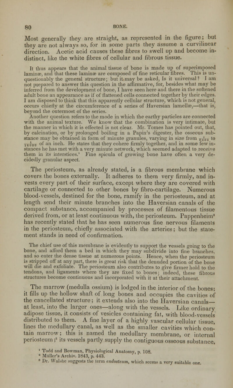Most generally they are straight, as represented in the figure; but they are not always so, for in some parts they assume a curvilinear direction. Acetic acid causes these fibres to swell up and become in- distinct, like the white fibres of cellular and fibrous tissue. It thus appears that the animal tissue of bone is made up of superimposed laminae, and that these laminae are composed of fine reticular fibres. This is un- questionably the general structure; but it may be asked, Is it universal ? I am not prepared to answer this question in the affirmative, for, besides what may be inferred from the development of bone, I have seen here and there in the softened adult bone an appearance as if of flattened cells connected together by their edges. I am disposed to think that this apparently cellular structure, which is not general, occurs chiefly at the circumference of a series of Haversian lamellae,—that is, beyond the outermost of the series. Another question refers to the mode in which the earthy particles are connected with the animal texture. We know that the combination is very intimate, but the manner in which it is effected is not clear. Mr. Tomes has pointed out, that, by calcination, or by prolonged boiling in a Papin's digester, the osseous sub- stance may be obtained in form of minute granules, varying in size from ff J^ to ttfoo °f an iuch. He states that they cohere firmly together, and in some few in- stances he has met with a very minute network, which seemed adapted to receive them in its interstices.' Fine spicula of growing bone have often a very de- cidedly granular aspect. The periosteum, as already stated, is a fibrous membrane which covers the bones externally. It adheres to them very firmly, and in- vests every part of their surface, except where they are covered with cartilage or connected to other bones by fibro-cartilage. Numerous blood-vessels, destined for the bone, ramify in the periosteum, and at length send their minute branches into the Haversian canals of the compact substance, accompanied by processes of filamentous tissue derived from, or at least continuous with, the periosteum. Pappenheim2 has recently stated that he has seen numerous fine nervous filaments in the periosteum, chiefly associated with the arteries; but the state- ment stands in need of confirmation. The chief use of this membrane is evidently to support the vessels going to the bone, and afford them a bed in which they may subdivide into fine branches, and so enter the dense tissue at numerous points. Hence, when the periosteum is stripped off at any part, there is great risk that the denuded portion of the bone will die and exfoliate. The periosteum also contributes to give firmer hold to the tendons, and ligaments where they are fixed to bones; indeed, these fibrous structures become continuous and incorporated with it at their attachment. The marrow (medulla ossium) is lodged in the interior of the bones; it fills up the hollow shaft of long bones and occupies the cavities of the cancellated structure; it extends also into the Haversian canals at least, into the larger ones—along with the vessels. Like ordinary adipose tissue, it consists of vesicles containing fat, with blood-vessels distributed to them. A fine layer of a highly vascular cellular tissue, lines the medullary canal, as well as the smaller cavities which con- tain marrow; this is named the medullary membrane, or internal periosteum;3 its vessels partly supply the contiguous osseous substance, 1 Todd and Bowman, Physiological Anatomy, p 108 3 Mailer's Archiv. 1843, p. 443. 3 Dr. VValshe suggests the term endosteum, which seems a very suitable one.