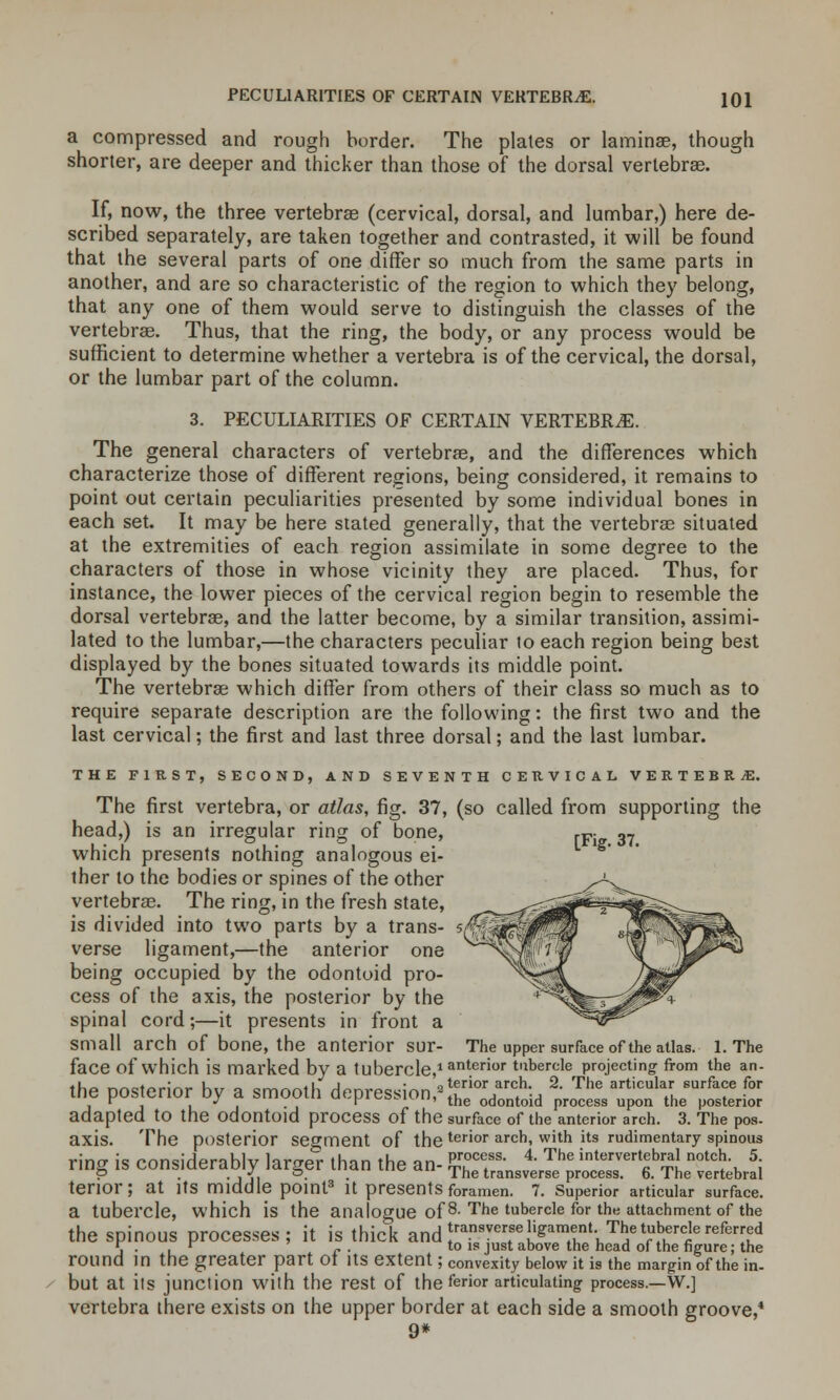 a compressed and rough border. The plates or laminae, though shorter, are deeper and thicker than those of the dorsal vertebrae. If, now, the three vertebrae (cervical, dorsal, and lumbar,) here de- scribed separately, are taken together and contrasted, it will be found that the several parts of one differ so much from the same parts in another, and are so characteristic of the region to which they belong, that any one of them would serve to distinguish the classes of the vertebrae. Thus, that the ring, the body, or any process would be sufficient to determine whether a vertebra is of the cervical, the dorsal, or the lumbar part of the column. 3. PECULIARITIES OF CERTAIN VERTEBRAE. The general characters of vertebrae, and the differences which characterize those of different regions, being considered, it remains to point out certain peculiarities presented by some individual bones in each set. It may be here stated generally, that the vertebrae situated at the extremities of each region assimilate in some degree to the characters of those in whose vicinity they are placed. Thus, for instance, the lower pieces of the cervical region begin to resemble the dorsal vertebrae, and the latter become, by a similar transition, assimi- lated to the lumbar,—the characters peculiar to each region being best displayed by the bones situated towards its middle point. The vertebrae which differ from others of their class so much as to require separate description are the following: the first two and the last cervical; the first and last three dorsal; and the last lumbar. THE FIRST, SECOND, AND SEVENTH CERVICAL VERTEBRAE. The first vertebra, or atlas, fig. 37, (so called from supporting the head,) is an irregular ring of bone, rv- ,T which presents nothing analogous ei- ther to the bodies or spines of the other vertebrae. The ring, in the fresh state, is divided into two parts by a trans- verse ligament,—the anterior one being occupied by the odontoid pro- cess of the axis, the posterior by the spinal cord;—it presents in front a small arch of bone, the anterior SUr- The upper surface of the atlas, l. The face of which is marked by a tubercle,1 ant.erior tubercle projecting: from the an- *Ur> ^^>^*^^;^^ k„ « ^„„,l j • „terior arch. 2. The articular surface for the posterior by a smooth depression,2 the odontoid process upon the posterior adapted to the Odontoid process of the surface of the anterior arch. 3. The pos- axis. The posterior segment of theterior arch> with }ts rudimentary spinous »»» i« AAnM/tamklir l«Mm ik>n »U« «« process. 4. The intervertebral notch. 5. ring is considerably largei than the an- The transverse process. 6. The vertebral terior; at Its middle point3 it presents foramen. 7. Superior articular surface. a tubercle, which is the analogue of8- The tubercle for the attachment of the the spinous processes; it is thick and transverse ligament The tubercle referred 5 . . * c . to is just above the head of the figure; the round in the greater part of its extent; convexity below it is the margin of the in. but at its junction with the rest of the terior articulating process.—W.] vertebra there exists on the upper border at each side a smooth groove,4 9*
