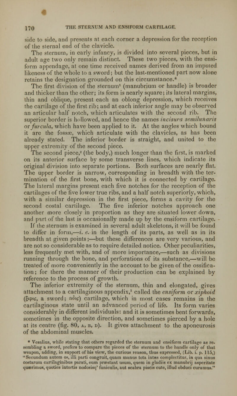 side to side, and presents at each corner a depression for the reception of the sternal end of the clavicle. The sternum, in early infancy, is divided into several pieces, but in adult age two only remain distinct. These two pieces, with the ensi- form appendage, at one time received names derived from an imputed likeness of the whole to a sword; but the last-mentioned part now alone retains the designation grounded on this circumstance.* The first division of the sternum1 (manubrium or handle) is broader and thicker than the other; its form is nearly square; its lateral margins, thin and oblique, present each an oblong depression, which receives the cartilage of the first rib; and at each inferior angle may be observed an articular half notch, which articulates with the second rib. The superior border is hollowed, and hence the names incisure semilunaris or furcula, which have been applied to it. At the angles which bound it are the fossae, which articulate with the clavicles, as has been already stated. The inferior border is straight, and united to the upper extremity of the second piece. The second piece,2 (the body,) much longer than the first, is marked on its anterior surface by some transverse lines, which indicate its original division into separate portions. Both surfaces are nearly flat. The upper border is narrow, corresponding in breadth with the ter- mination of the first bone, with which it is connected by cartilage. The lateral margins present each five notches for the reception of the cartilages of the five lower true ribs, and a half notch superiorly, which, with a similar depression in the first piece, forms a cavity for the second costal cartilage. The five inferior notches approach one another more closely in proportion as they are situated lower down, and part of the last is occasionally made up by the ensiform cartilage. If the sternum is examined in several adult skeletons, it will be found to differ in form,—i. e. in the length of its parts, as well as in its breadth at given points;—but these differences are very various, and are not so considerable as to require detailed notice. Other peculiarities, less frequently met with, and of more importance,—such as divisions running through the bone, and perforations of its substance,—will be treated of more conveniently in the account to be given of the ossifica- tion; for there the manner of their production can be explained by reference to the process of growth. The inferior extremity of the sternum, thin and elongated, gives attachment to a cartilaginous appendix,3 called the ensiform or xiphoid (i«poc, a sword; ei^os) cartilage, which in most cases remains in the cartilaginous state until an advanced period of life. Its form varies considerably in different individuals: and it is sometimes bent forwards, sometimes in the opposite direction, and sometimes pierced by a hole at its centre (fig. 80, a, b, d). It gives attachment to the aponeurosis of the abdominal muscles. * Vesalius, while stating that others regarded the sternum and ensiform cartilage as re- sembling a sword, prefers to compare the pieces of the sternum to the handle only of that weapon, adding, in support of hie view, the curious reason, thus expressed, (Lib. i. p. 115,) Secundum autem os, illi parti congruit, quam manus tota intiis complectitur, in qua sinus costarum carlilaginibus parati, eum preestant usum, quem in gladiis ex manubrij asperitate queerimus, quoties intortis nodosisq' funiculis, aut scabra piscis cute, illnd obduci curamus.