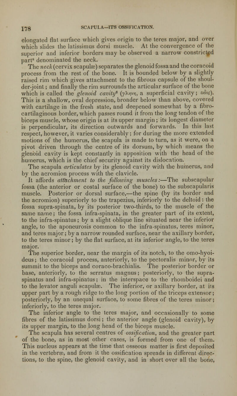 17g SCAPULA—ITS OSSIFICATION. elongated flat surface which gives origin to the teres major, and over which slides the latissimus dorsi muscle. At the convergence of the superior and inferior borders may be observed a narrow constricted part8 denominated the neck. The neck (cervix scapulae) separates the glenoid fossa and the coracoid process from the rest of the bone. It is bounded below by a slightly raised rim which gives attachment to the fibrous capsule of the shoul- der-joint ; and finally the rim surrounds the articular surface of the bone which is called the glenoid cavity6 (yX*)vi), a superficial cavity; sidoj). This is a shallow, oval depression, broader below than above, covered with cartilage in the fresh state, and deepened somewhat by a fibro- cartilaginous border, which passes round it from the long tendon of the biceps muscle, whose origin is at its upper margin ; its longest diameter is perpendicular, its direction outwards and forwards. In this last respect, however, it varies considerably; for during the more extended motions of the humerus, the scapula is made to turn, as it were, on a pivot driven through the centre of its dorsum, by which means the glenoid cavity is kept constantly in apposition with the head of the humerus, which is the chief security against its dislocation. The scapula articulates by its glenoid cavity with the humerus, and by the acromion process with the clavicle. It affords attachment to the following muscles:—The subscapular fossa (the anterior or costal surface of the bone) to the subscapularis muscle. Posterior or dorsal surface,—the spine (by its border and the acromion) superiorly to the trapezius, inferiorly to the deltoid: the fossa supra-spinata, by its posterior two-thirds, to the muscle of the same name; the fossa infra-spinata, in the greater part of its extent, to the infra-spinatus; by a slight oblique line situated near the inferior angle, to the aponeurosis common to the infra-spinatus, teres minor, and teres major; by a narrow rounded surface, near the axillary border, to the teres minor; by the flat surface, at its inferior angle, to the teres major. The superior border, near the margin of its notch, to the omo-hyoi- deus; the coracoid process, anteriorly, to the pectoralis minor, by its summit to the biceps and coraco-brachialis. The posterior border or base, anteriorly, to the serratus magnus; posteriorly, to the supra- spinatus and infra-spinatus; in the interspace to the rhomboidei and to the levator anguli scapulas. The inferior, or axillary border, at iis upper part by a rough ridge to the long portion of the triceps extensor; posteriorly, by an unequal surface, to some fibres of the teres minor; inferiorly, to the teres major. The inferior angle to the teres major, and occasionally to some fibres of the latissimus dorsi; the anterior angle (glenoid cavity), by its upper margin, to the long head of the biceps muscle. The scapula has several centres of ossification, and the greater part of the bone, as in most other cases, is formed from one of them. This nucleus appears at the time that osseous matter is first deposited in the vertebrae, and from it the ossification spreads in different direc- tions, to the spine, the glenoid cavity, and in short over all the bone,