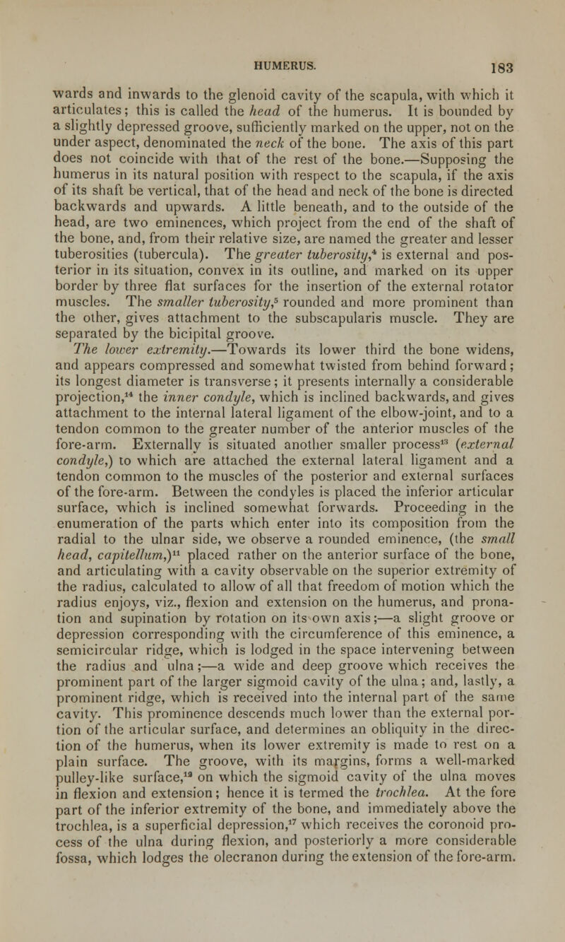 wards and inwards to the glenoid cavity of the scapula, with which it articulates; this is called the head of the humerus. It is bounded by a slightly depressed groove, sufficiently marked on the upper, not on the under aspect, denominated the neck of the bone. The axis of this part does not coincide with that of the rest of the bone.—Supposing the humerus in its natural position with respect to the scapula, if the axis of its shaft be vertical, that of the head and neck of the bone is directed backwards and upwards. A little beneath, and to the outside of the head, are two eminences, which project from the end of the shaft of the bone, and, from their relative size, are named the greater and lesser tuberosities (tubercula). The greater tuberosity,* is external and pos- terior in its situation, convex in its outline, and marked on its upper border by three flat surfaces for the insertion of the external rotator muscles. The smaller tuberosity,5 rounded and more prominent than the other, gives attachment to the subscapulars muscle. They are separated by the bicipital groove. The lower extremity.—Towards its lower third the bone widens, and appears compressed and somewhat twisted from behind forward; its longest diameter is transverse; it presents internally a considerable projection,1* the inner condyle, which is inclined backwards, and gives attachment to the internal lateral ligament of the elbow-joint, and to a tendon common to the greater number of the anterior muscles of the fore-arm. Externally is situated another smaller process13 {external condyle,) to which are attached the external lateral ligament and a tendon common to the muscles of the posterior and external surfaces of the fore-arm. Between the condyles is placed the inferior articular surface, which is inclined somewhat forwards. Proceeding in the enumeration of the parts which enter into its composition from the radial to the ulnar side, we observe a rounded eminence, (the small head, capitellum,)11 placed rather on the anterior surface of the bone, and articulating with a cavity observable on the superior extremity of the radius, calculated to allow of all that freedom of motion which the radius enjoys, viz., flexion and extension on the humerus, and prona- tion and supination by rotation on its own axis;—a slight groove or depression corresponding with the circumference of this eminence, a semicircular ridge, which is lodged in the space intervening between the radius and ulna;—a wide and deep groove which receives the prominent part of the larger sigmoid cavity of the ulna; and, lastly, a prominent ridge, which is received into the internal part of the same cavity. This prominence descends much lower than the external por- tion of the articular surface, and determines an obliquity in the direc- tion of the humerus, when its lower extremity is made to rest on a plain surface. The groove, with its margins, forms a well-marked pulley-like surface,13 on which the sigmoid cavity of the ulna moves in flexion and extension; hence it is termed the trochlea. At the fore part of the inferior extremity of the bone, and immediately above the trochlea, is a superficial depression,17 which receives the coronoid pro- cess of the ulna during flexion, and posteriorly a more considerable fossa, which lodges the olecranon during the extension of the fore-arm.