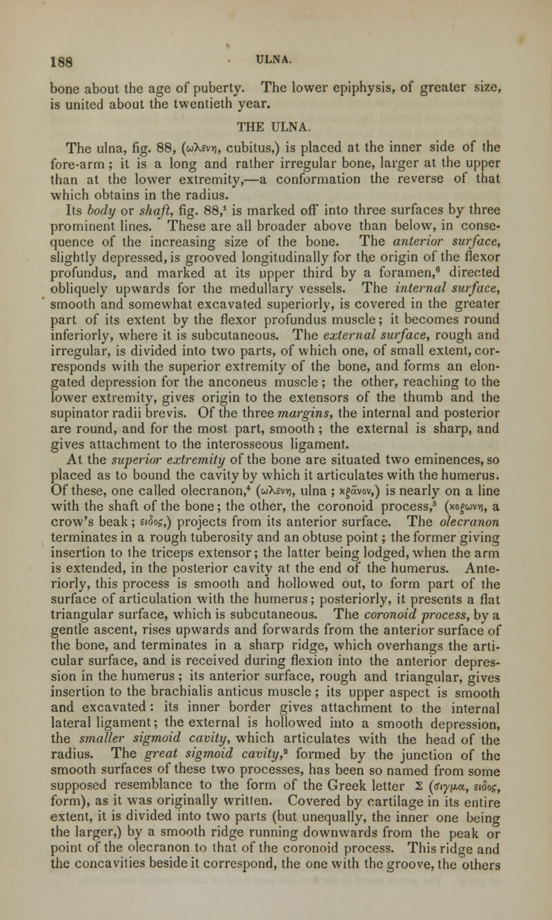 bone about the age of puberty. The lower epiphysis, of greater size, is united about the twentieth year. THE ULNA. The ulna, fig. 88, (wXevrj, cubitus,) is placed at the inner side of the fore-arm; it is a long and rather irregular bone, larger at the upper than at the lower extremity,—a conformation the reverse of that which obtains in the radius. Its body or shaft, fig. 88,1 is marked off into three surfaces by three prominent lines. These are all broader above than below, in conse- quence of the increasing size of the bone. The anterior surface, slightly depressed, is grooved longitudinally for the origin of the flexor profundus, and marked at its upper third by a foramen,8 directed obliquely upwards for the medullary vessels. The internal surface, smooth and somewhat excavated superiorly, is covered in the greater part of its extent by the flexor profundus muscle; it becomes round inferiorly, where it is subcutaneous. The external surface, rough and irregular, is divided into two parts, of which one, of small extent, cor- responds with the superior extremity of the bone, and forms an elon- gated depression for the anconeus muscle; the other, reaching to the lower extremity, gives origin to the extensors of the thumb and the supinator radii brevis. Of the three margins, the internal and posterior are round, and for the most part, smooth; the external is sharp, and gives attachment to the interosseous ligament. At the superior extremity of the bone are situated two eminences, so placed as to bound the cavity by which it articulates with the humerus. Of these, one called olecranon,4 (wXsv*j, ulna ; xgavov,) is nearly on a line with the shaft of the bone; the other, the coronoid process,5 (xo^uvr), a crow's beak; ei5os,) projects from its anterior surface. The olecranon terminates in a rough tuberosity and an obtuse point; the former giving insertion to the triceps extensor; the latter being lodged, when the arm is extended, in the posterior cavity at the end of the humerus. Ante- riorly, this process is smooth and hollowed out, to form part of the surface of articulation with the humerus; posteriorly, it presents a flat triangular surface, which is subcutaneous. The coronoid process, by a gentle ascent, rises upwards and forwards from the anterior surface of the bone, and terminates in a sharp ridge, which overhangs the arti- cular surface, and is received during flexion into the anterior depres- sion in the humerus ; its anterior surface, rough and triangular, gives insertion to the brachialis anticus muscle ; its upper aspect is smooth and excavated: its inner border gives attachment to the internal lateral ligament; the external is hollowed into a smooth depression, the smaller sigmoid cavity, which articulates with the head of the radius. The great sigmoid cavity,* formed by the junction of the smooth surfaces of these two processes, has been so named from some supposed resemblance to the form of the Greek letter 2 (d/M-a, siSog, form), as it was originally written. Covered by cartilage in its entire extent, it is divided into two parts (but unequally, the inner one being the larger,) by a smooth ridge running downwards from the peak or point of the olecranon to that of the coronoid process. This ridge and the concavities beside it correspond, the one with the groove, the others