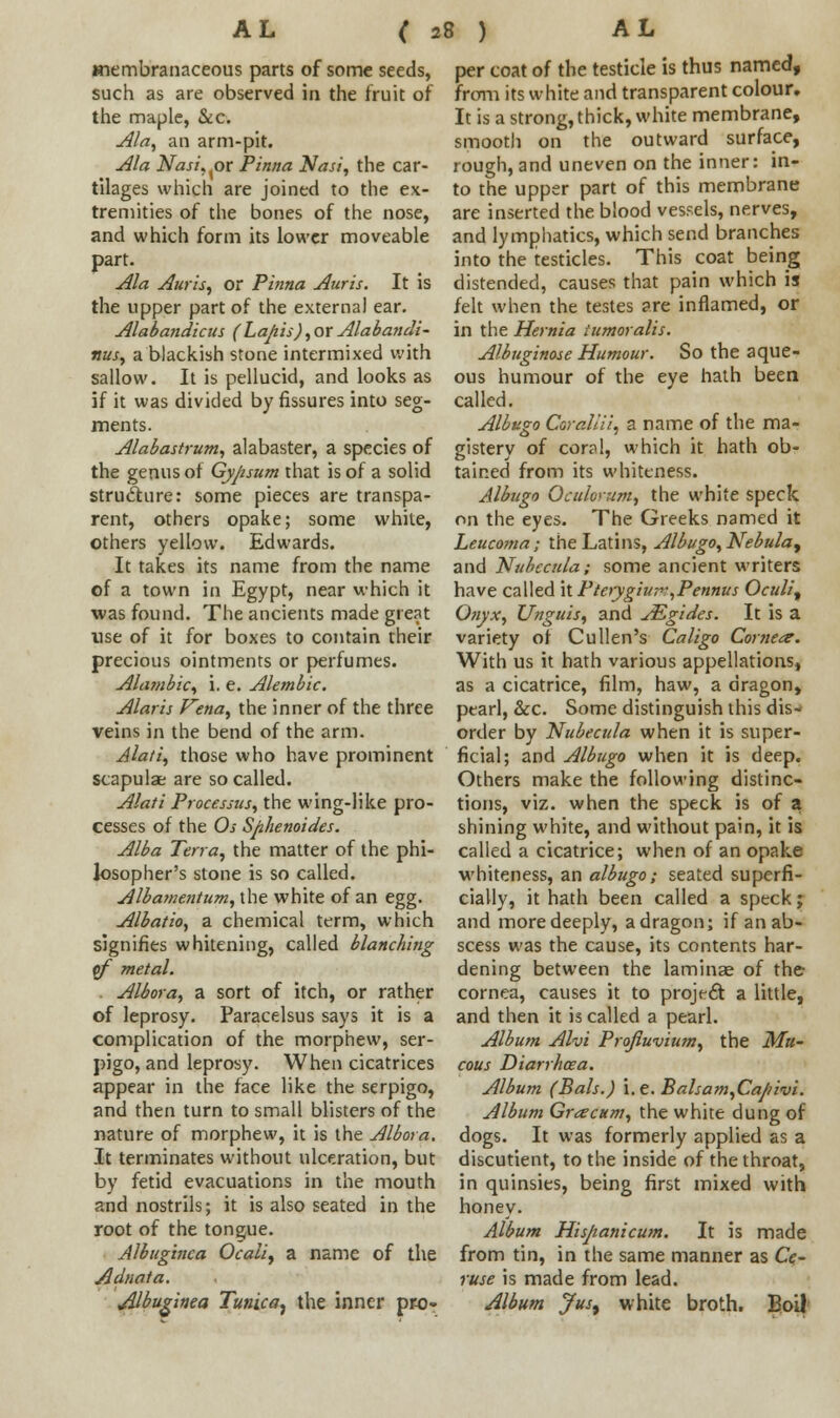 membranaceous parts of some seeds, such as are observed in the fruit of the maple, &c. Ala, an arm-pit. Ala Nasi, (or Pinna Nasi, the car- tilages which are joined to the ex- tremities of the bones of the nose, and which form its lower moveable part. Ala Auris, or Pinna Auris. It is the upper part of the external ear. Alabandicus (Lapis), or Alabandi- rtus, a blackish stone intermixed with sallow. It is pellucid, and looks as if it was divided by fissures into seg- ments. Alabastrum, alabaster, a species of the genus of Gypsum that is of a solid structure: some pieces are transpa- rent, others opake; some white, others yellow. Edwards. It takes its name from the name of a town in Egypt, near which it was found. The ancients made great use of it for boxes to contain their precious ointments or perfumes. Alambic, i. e. Alembic. Alaris Vena, the inner of the three veins in the bend of the arm. Alati, those who have prominent scapulae are so called. Alati Processus, the wing-like pro- cesses of the Os Sphenoides. Alba Terra, the matter of the phi- losopher's stone is so called. Albamentum, the white of an egg. Albatio, a chemical term, which signifies whitening, called blanching pf metal. Albora, a sort of itch, or rather of leprosy. Paracelsus says it is a complication of the morphew, ser- pigo, and leprosy. When cicatrices appear in the face like the serpigo, and then turn to small blisters of the nature of morphew, it is the Albora. It terminates without ulceration, but by fetid evacuations in the mouth and nostrils; it is also seated in the root of the tongue. Albuginca Ocalit a name of the Adnata. Albuginea Tunica, the inner pro- per coat of the testicle is thus named, from its white and transparent colour. It is a strong, thick, white membrane, smooth on the outward surface, rough, and uneven on the inner: in- to the upper part of this membrane are inserted the blood vessels, nerves, and lymphatics, which send branches into the testicles. This coat being distended, causes that pain which is felt when the testes are inflamed, or in the Hernia iumoralis. Albuginose Humour. So the aque- ous humour of the eye hath been called. Albugo Corallii, a name of the ma- gistery of coral, which it hath ob- tained from its whiteness. Albugo Oculoium, the white speck on the eyes. The Greeks named it Leucoma; the Latins, Albugo,Nebula^ and Nubecula; some ancient writers have called it Pterygiuv,Pennus OcuIif Onyx, Unguis, and AZgides. It is a variety of Cullen's Caligo Corner. With us it hath various appellations, as a cicatrice, film, haw, a dragon, pearl, &c. Some distinguish this dis- order by Nubecula when it is super- ficial; and Albugo when it is deep. Others make the following distinc- tions, viz. when the speck is of a shining white, and without pain, it is called a cicatrice; when of an opake whiteness, an albugo; seated superfi- cially, it hath been called a speck; and more deeply, adragon; if an ab- scess was the cause, its contents har- dening between the laminae of the- cornea, causes it to project a little, and then it is called a pearl. Album Alvi Profluvium, the Mu- cous Diarrhoea. Album (Bals.) i.e. Balsam,Capivi. Album Gra?cum, the white dung of dogs. It was formerly applied as a discutient, to the inside of the throat, in quinsies, being first mixed with honey. Album Hisjianicum. It is made from tin, in the same manner as Ce- ruse is made from lead. Album Jus^ white broth. Boil