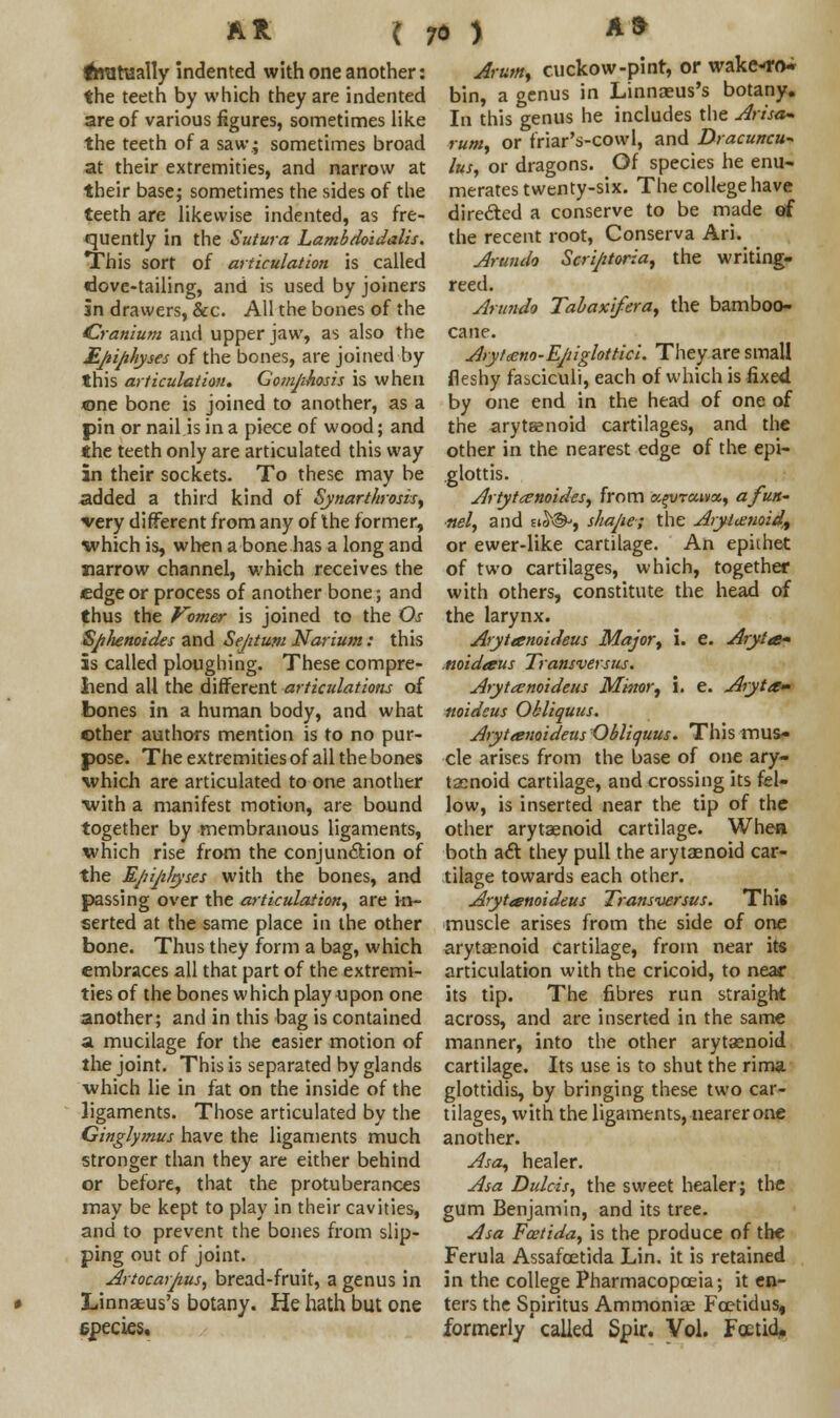iftrarually indented with one another: the teeth by which they are indented are of various figures, sometimes like the teeth of a saw; sometimes broad at their extremities, and narrow at their base; sometimes the sides of the teeth are likewise indented, as fre- quently in the Sutura Lambdoidalis. This sort of articulation is called dove-tailing, and is used by joiners in drawers, &c. All the bones of the (Cranium and upper jaw, as also the Epiphyses of the bones, are joined by this articulation. Gomphosis is when one bone is joined to another, as a pin or nail is in a piece of wood; and *he teeth only are articulated this way in their sockets. To these may be added a third kind of Synarthrosis, very different from any of Ihe former, which is, when a bone has a long and narrow channel, which receives the edge or process of another bone; and thus the Vomer is joined to the Os SpJienoides and Sejitum Narium: this is called ploughing. These compre- hend all the different articulations of bones in a human body, and what other authors mention is to no pur- pose. The extremities of all the bones which are articulated to one another with a manifest motion, are bound together by membranous ligaments, which rise from the conjunction of the Ejiijifeyses with the bones, and passing over the articulation, are in- serted at the same place in the other bone. Thus they form a bag, which embraces all that part of the extremi- ties of the bones which play upon one another; and in this bag is contained a mucilage for the easier motion of the joint. This is separated by glands •which lie in fat on the inside of the ligaments. Those articulated by the Cinglymus have the ligaments much stronger than they are either behind or before, that the protuberances may be kept to play in their cavities, and to prevent the bones from slip- ping out of joint. Artocarpus, bread-fruit, a genus in Linnaeus's botany. He hath but one epecies. Arum, cuckow-pinr, or wake-nW bin, a genus in Linnaeus's botany. In this genus he includes the Arisa- rum, or friar's-cowl, and Dracuncu- lus, or dragons. Of species he enu- merates twenty-six. The college have directed a conserve to be made of the recent root, Conserva An. Arundo Scriptoria, the writing- reed. Arundo Tabaxifera, the bamboo- cane. Aryteeno-Epiglottici. They are small fleshy fasciculi, each of which is fixed by one end in the head of one of the arytenoid cartilages, and the other in the nearest edge of the epi- glottis. Artytanoides, from a^vraivot, a fun' nel, and st^, shape; the Aryl<£?ioid,t or ewer-like cartilage. An epithet of two cartilages, which, together with others, constitute the head of the larynx. Arytanoideus Major, i. e. Aryta* .noidaus Transversus. Arytanoideus Motor, i. e. Aryta- noideus Okliquus. Arytanoideus Obliquus. This mus- cle arises from the base of one ary- tenoid cartilage, and crossing its fel- low, is inserted near the tip of the other arytaenoid cartilage. Whea both aft they pull the arytaenoid car- tilage towards each other. Arytanoideus Transversus. This muscle arises from the side of one arytaenoid cartilage, from near its articulation with the cricoid, to near its tip. The fibres run straight across, and are inserted in the same manner, into the other arytenoid cartilage. Its use is to shut the rima. glottidis, by bringing these two car- tilages, with the ligaments, nearer one another. Asa, healer. Asa Dulcis, the sweet healer; the gum Benjamin, and its tree. Asa Fcetida, is the produce of the Ferula Assafoetida Lin. it is retained in the college Pharmacopoeia; it en- ters the Spiritus Ammonie Fcetidus, formerly' called Spir. Vol. Foetid.