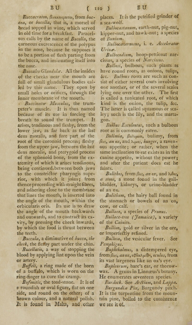 ( Buccacraton, ftdx.x.<x,>ip%Tov, from hue- <ea, or bucclla, that is, a morsel of bread sopped in wine, which served in old time for a breakfast. Paracel- sus calls by the name of Bucella, the carneous excrescence of the polypus in the nose, because he supposes it to be a portion of flesh parting from the bucca, and insinuating itself into the nose. Buccales GlanduLe. All the insides of the cheeks near the mouth are full of small glandulous bodies cal- led bv this name. They open by small holes or orifices, through the inner membrane of the mouth. Buccinator Musculus, the trum- peter's muscle. It is thus named because of its use in forcing the breath to sound the trumpet. It arises, tendinous and fleshy, from the lower jaw, as far back as the last dens moralis, and fore part of the root of the coronoid process; fleshy from the upper jaw, between the last dens moralis, and pterygoid process of the sphenoid bone, from the ex- tremity of which it arises tendinous, being continued.between both jaws to the constriclor pharyngis supe- rior, with which it joins; from thence proceeding with straight fibres, and adhering close to the membrane that lines the mouth, is inserted into the angle of the mouth, within the orbicularis oris. Its use is to draw the angle of the mouth backwards and outwards, and to contracl its ca- vity, by pressing the cheek inwards, by which the food is thrust between the teeth. Buccula, a diminutive of bucca, the cheek, the fleshy part under the chin. Bucellatio, a way of stopping the blood by applying lint upon the vein or artery. Buffeli, a ring made of the horn of a buffalo, which is worn on the ring-finger to cure the cramp. Bufonitis, the toad-stone. It is of a roundish or oval figure, fiat on one side, and round on the other; of a brown colour, and a natural polish. Zt is found in Malta, and, other places. It is the petrified grinder of a sea-wolf. Bulbocastanum, earth-nut, pig-nut, kipper-nut, and hawk-nut; a species of Bunium, Bulbocavernosus, i. e. Accelerator TJrinte. Bulbocodium, hoop-petticoat nar- cissus, a species of Narcissus. Bulbosi, bulbous, such plants as have round roots, as onions, tulips, &c. Bulbous roots are such as con- sist of either several coats involving one another, or of the several scales lying one over the other. The first is called a tunicated root, of which kind is the onion, the tulip, &c. The latter is called squamous or sea- ley; such is the lily, and the marta- gon. Bulbus Esculentus, such a bulbous root as is commonly eaten. Bulimia, /SaXipo., bulimy, from /£«?, an ox, and X;/xo5-, hunger, a raven- ous appetite; or rather, when the same inclination to eat exists as in the canine appetite, without the power; and after the patient does eat he faints. Bulithos, from /5«j, an ox, and \$oc, a stone, a stone found in the gall- bladder, kidneys, or urine-bladder of an ox. Bulithum, the hairy ball found in the stomach or bowels of an ox, cow, or calf. Bullace, a species of Prunus. Bullace-tree (Jamaica), a variety of the Cainito. Bullion, gold or silver in the ore, or imperfectly refined. Bullosa, the vesicular fever. See Pemphigus. Bujihthalmus, a distempered eye, from/3sc, an ox, o^cxX^1^, oculus, from its vast largeness like an ox's eye. Bujzleurum, hare's ear, or thorow- wax. A genus in Linnaeus's botany. He enumerates seventeen species. Burdock. See Arclium, and Lappa. Burgundies Pix, Burgundy pitch. It is the turpentine from the moun- tain pine, boiled to the consistence we see it of.