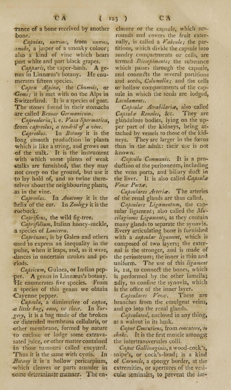 Tance of a bone received by another bone. Capnias, kktviu;, from -wirw;, smoke, a jasper of a smoaky colour; also a kind of vine which bears part white and part black grapes. Capparis, the caper-bush. A ge- nus in Linnaeus's botany. He enu- merates fifteen species. Cajira Alpir.a, the Chamois, or Gems; it is met with on the Alps in Switzerland. It is a species of goat. The stones found in their stomachs are called Bezoar Germanicum. Capreolaria, i. e. Vasa Spcrmatica, from capreolus, a tendril of a vine. Cajireolus. In Botany it is the long smooth production in plants which is like a string, and grows out of the stalk. It is the instrument with which some plants of weak 6talks are furnished, that they may not creep on the ground, but use it to lay hold of, and so twine them- selves about the neighbouring plants, as in the vine. Cajireolus. In Anatomy it is the helix of the ear. In Zoology it is the roebuck. Caprificus, the wild fig-tree. Caprifolium, Italian honey-suckle, a species of Lonicera. Caprizans, is by Galen and others iist-d to express an inequality in the pulse, when it leaps, and, as it were, -dances in uncertain strokes and pe- riods. Capsicum, Guinea, or Indian pep- per. A genus in Linnaeus's botany. He enumerates five species. From a species of this genus we obtain •Cayenne pepper. Capsula, a diminutive of capsa, ■a little bag, case, or chest. In Sur- gery, it is a bag made of the broken or distended membrana cellularis, or other membrane, formed by nature to enclose or lodge some extrava- sated juice, or other matter contained in those tumours called encysted. Thus it is the same with cystis. In Sot any it is a hollow pericarpium, which cleaves or parts asunder in come determinate manner. The en- closure or the capsule, which svn-~ rounds and covers the fruit exter- nally, is called a Valvule; the par- titions, which divide the capsule into sundry compartments or cells, are termed Dissepiments; the substance which passes through the capsule, and connects the several partitions and seeds, Columella; and the cells or hollow compartments of the cap- sule in which the seeds are iodged, Loculaments. Capsular Atrabilaria, also called Capsule Renales, Sec. They are glandulous bodies, lying on the up- per part of the kidneys, being at- tached by vessels to those of the kid- neys. They are larger in the foetus than in the.adult: their use is not known. Capsulu Communis. It is a pro- duction of the peritoneum, including the vena porta, and biliary duct in the liver. It is also called Capsular Vena: Portar. Capsuiares Arterice. The arteries of the renal glands are thus called. Capsulare Ligamentum, the cap- sular ligament; also called the Mu- cilaginous Ligaments, as they contain many glands to separate the synovia. Every articulating bone is furnished with a capsular ligament, which is composed of two layers; the exter- nal is the stronger, and is made of the periosteum; the inner is thin and uniform. The use of this ligament is, 1st, to connect the bones, which is performed by the other lamella; 2dly, to confine the synovia, which is the office of the inner layer. Capsuiares Vena. These are branches from the emulgent veins, and go into the renal glands. Cajisulated, enclosed in any thing, as a walnut in its husk. Caput Concutiens, from concutere, to shake. It is the first muscle amongst the intertransversales colli. Caput Gallinaginis, a wood-cock's, snipe's, or cock's-head; is a kind of Caruncle, a spongy border, at the extremities, or apertures of the vesi- cuUc seminales, to prevent the ins