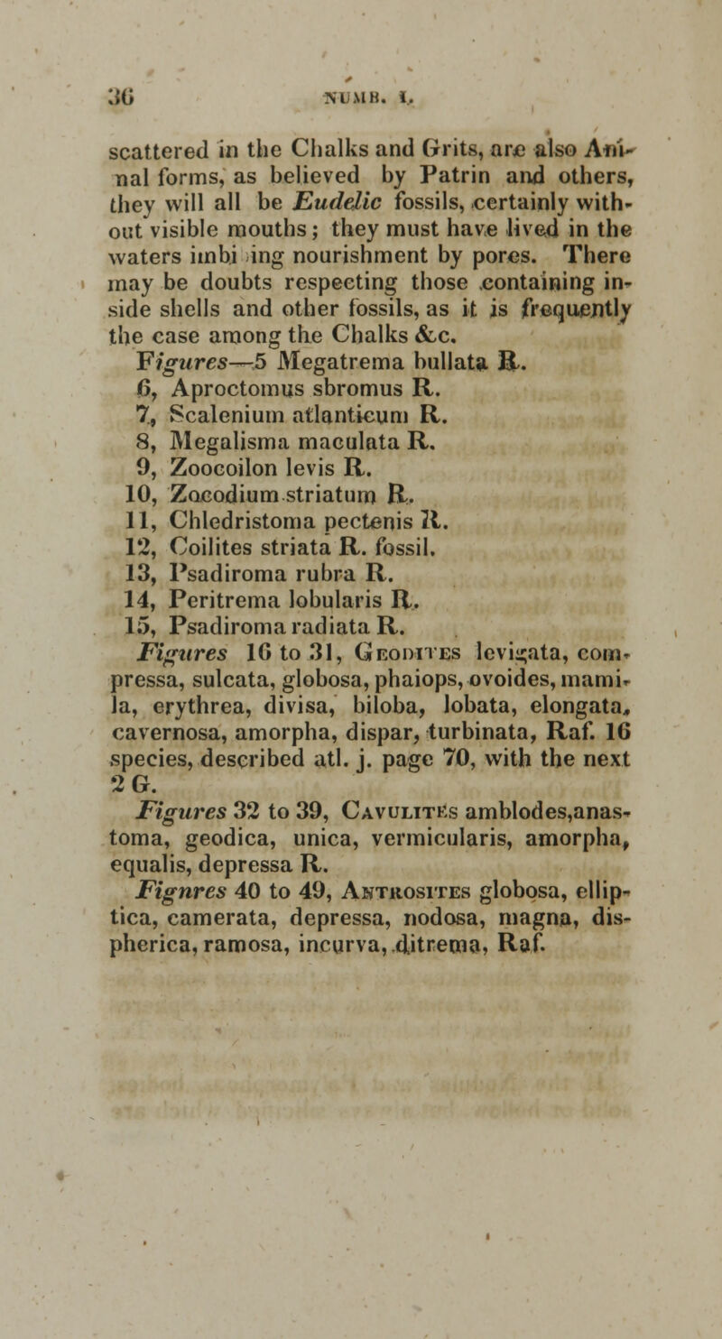 scattered in the Chalks and Grits, ane also Aiii- nal forms, as believed by Patrin and others, they will all be Eudelic fossils, certainly with- out visible mouths; they must have lived in the waters imbj ing nourishment by pores. There may be doubts respecting those .containing in- side shells and other fossils, as it is frequently the case among the Chalks &c. Figures—5 Megatrema bill I at a R. 6, Aproctomus sbromus R. 7, Scalenium atlantieum R. 8, Megalisma maculata R. 9, Zoocoilon levis R. 10, Zocodium striatum R. 11, Chledristoma pectenis R. 12, Coilites striata R. fossil. 13, Psadiroma rubra R. 14, Peritrema lobularis R. 15, Psadiroma radiataR. Figures 16 to 31, Geomtes levii;ata, com- pressa, sulcata, globosa, phaiops, ovoides, mamU la, erythrea, divisa, biloba, lobata, elongata, cavernosa, amorpha, dispar, turbinata, Raf. 16 species, described atl. j. page 70, with the next 2G. Figures 32 to 39, Cavulitks amblodes,anas- toma, geodica, unica, vermicularis, amorpha, equalis, depressa R. Figures 40 to 49, Antiiosites globosa, ellip- tica, camerata, depressa, nodosa, magna, dis- pherica, ramosa, incurva,d,itrema, Raf.