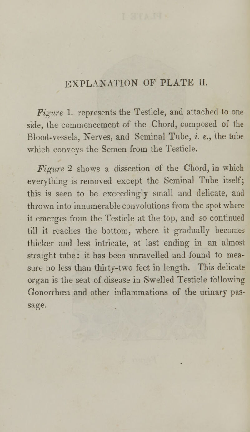 Figure 1. represents the Testicle, and attached to one side, the commencement of the Chord, composed of the Blood-vessels, Nerves, and Seminal Tube, i. e., the tube which conveys the Semen from the Testicle. Figure 2 shows a dissection of the Chord, in which everything is removed except the Seminal Tube itself; this is seen to be exceedingly small and delicate, and thrown into innumerable convolutions from the spot where it emerges from the Testicle at the top, and so continued till it reaches the bottom, where it gradually becomes thicker and less intricate, at last ending in an almost straight tube: it has been unravelled and found to mea- sure no less than thirty-two feet in length. This delicate organ is the seat of disease in Swelled Testicle following Gonorrhoea and other inflammations of the urinary pas- sage.