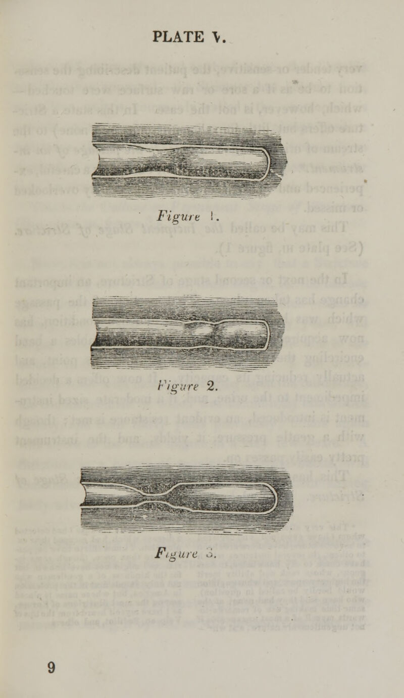 PLATE \, Figun Figvre 2.