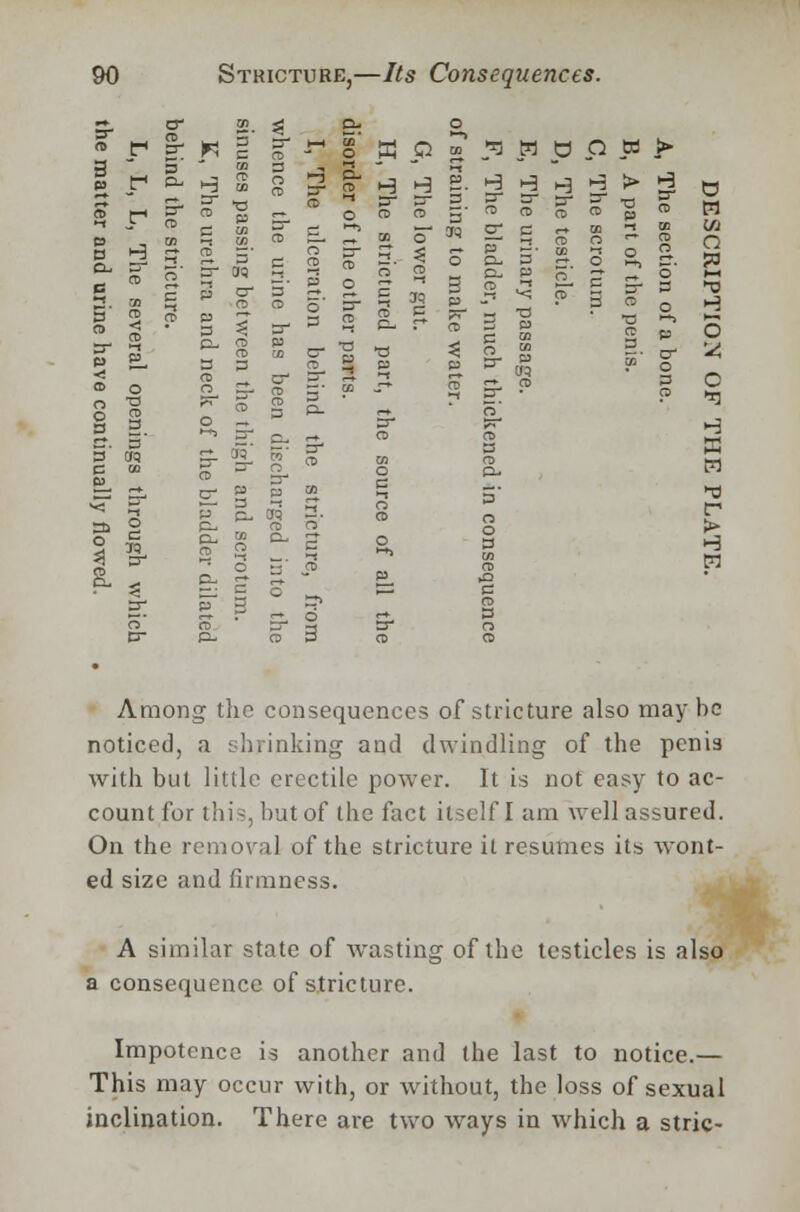 ~ a- 22. ^ ^ ° » P | W c %  o' K Q » 51 W O P td J> I r ^ 3 1 I ^Is* ~a a | a a a a > g o •-? 2. <~ p C n> to -• 5 o cl 3 jj. o S, jr. ?0 *-t J- B B <-- Cb B o- 3 ~ : J? S r< ^ P 3 o _ j ^C- 3 3 *dw pcrfg » o s 1 s- % § 1:? -: 31 • ? s I I- 2, g ^ g- r g 1' B f B- | S* § | B » 3 g. * B S- ■ g £ 8 H s. . p 3 Among the consequences of stricture also may he noticed, a shrinking and dwindling of the penis with but little erectile power. It is not easy to ac- count for this, but of the fact itself I am well assured. On the removal of the stricture it resumes its wont- ed size and firmness. A similar state of wasting of the testicles is also a consequence of stricture. Impotence is another and the last to notice.— This may occur with, or without, the loss of sexual inclination. There are two ways in which a stric-