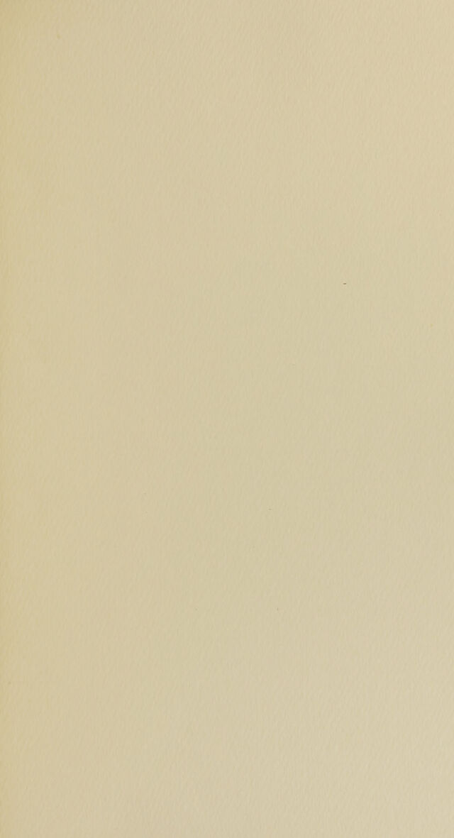 digitised image 3