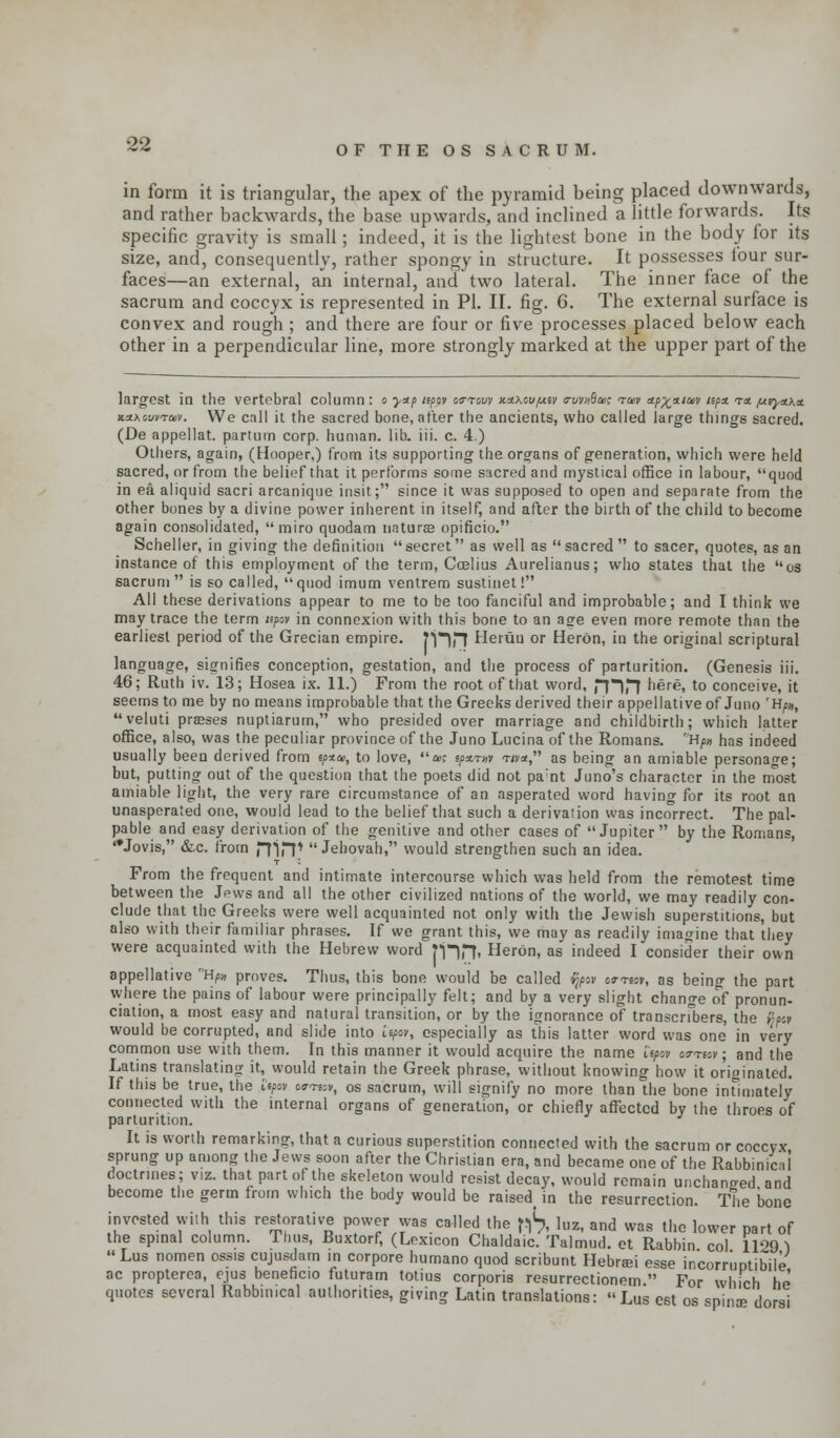 in form it is triangular, the apex of the pyramid being placed downwards, and rather backwards, the base upwards, and inclined a little forwards. Its specific gravity is small; indeed, it is the lightest bone in the body for its size, and, consequently, rather spongy in structure. It possesses four sur- faces—an external, aji internal, and two lateral. The inner face of the sacrum and coccyx is represented in PI. II. fig. 6. The external surface is convex and rough; and there are four or five processes placed below each other in a perpendicular line, more strongly marked at the upper part of the largest in the vertebral column : o yap tipov orrcw xnxcu/utv a-vvuBai; vw np^tmv npx t« /uryx\oL KAxwTcev. We call it the sacred bone, after the ancients, who called large things sacred. (De appellat. partum corp. human, lib. iii. c. 4.) Others, again, (Hooper,) from its supporting the organs of generation, which were held sacred, or from the belief that it performs some sacred and mystical office in labour, quod in ea aliquid sacri arcanique insit; since it was supposed to open and separate from the other bones by a divine power inherent in itself, and after the birth of the child to become again consolidated, miro quodam naturas opificio. Scheller, in giving the definition secret as well as sacred to sacer, quotes, as an instance of this employment of the term, Coelius Aurelianus; who states that the os sacrum is so called, quod imum ventrem sustinet! All these derivations appear to me to be too fanciful and improbable; and I think we may trace the term iipw in connexion with this bone to an a^e even more remote than the earliest period of the Grecian empire. P^fl Heruu or Heron, in the original scriptural language, signifies conception, gestation, and the process of parturition. (Genesis iii. 46; Ruth iv. 13; Hosea ix. 11.) From the root of that word, Hin here, to conceive, it seems to me by no means improbable that the Greeks derived their appellative of Juno 'tip*, veluti praises nuptiarum, who presided over marriage and childbirth; which latter office, also, was the peculiar province of the Juno Lucina of the Romans. H/w has indeed usually been derived from «/>*», to love, a>? tpxmv w», as being an amiable personage; but, putting out of the question that the poets did not pant Juno's character in the most amiable light, the very rare circumstance of an asperated word having for its root an unasperated one, would lead to the belief that such a derivation was incorrect. The pal- pable and easy derivation of the genitive and other cases of Jupiter by the Romans, Jovis, &c. from HiiT Jehovah, would strengthen such an idea. t : From the frequent and intimate intercourse which was held from the remotest time between the Jews and all the other civilized nations of the world, we may readily con- clude that the Greeks were well acquainted not only with the Jewish superstitions, but also with their familiar phrases. If we grant this, we may as readily imagine that they were acquainted with the Hebrew word pin, Heron, as indeed I consider their own appellative Hfn proves. Thus, this bone would be called §/>oi crnov, as being the part where the pains of labour were principally felt; and by a very slight change of pronun- ciation, a most easy and natural transition, or by the ignorance of transcribers, the »/>c» would be corrupted, and slide into itpov, especially as this latter word was one in very common use with them. In this manner it would acquire the name itpot cttisv ; and the Latins translating it, would retain the Greek phrase, without knowing how it originated. If this be true, the iepov o<r<riov, os sacrum, will signify no more than the bone intimately connected with the internal organs of generation, or chiefly affected by the throes of parturition. It is worth remarking, that a curious superstition connected with the sacrum or coccyx sprung up among the Jews soon after the Christian era, and became one of the Rabbinical coctnnes; viz. that part of the skeleton would resist decay, would remain unchanged and become the germ from which the body would be raised( in the resurrection. The bone invested with this restorative power was called the ftS ^ and was the lower part of the spinal column. Thus, Buxtorf, (Lexicon Chaldaic. Talmud, et Rabbin col 11^9 1 Lus nomen ossis cujusdam in corpore humano quod scribunt Hebra>i esse incorruntibile ac propterea, ejus beneficio futuram totius corporis resurrectionem  For which he quotes several Rabbinical authorities, giving Latin translations: Lus est os spina? dorsi
