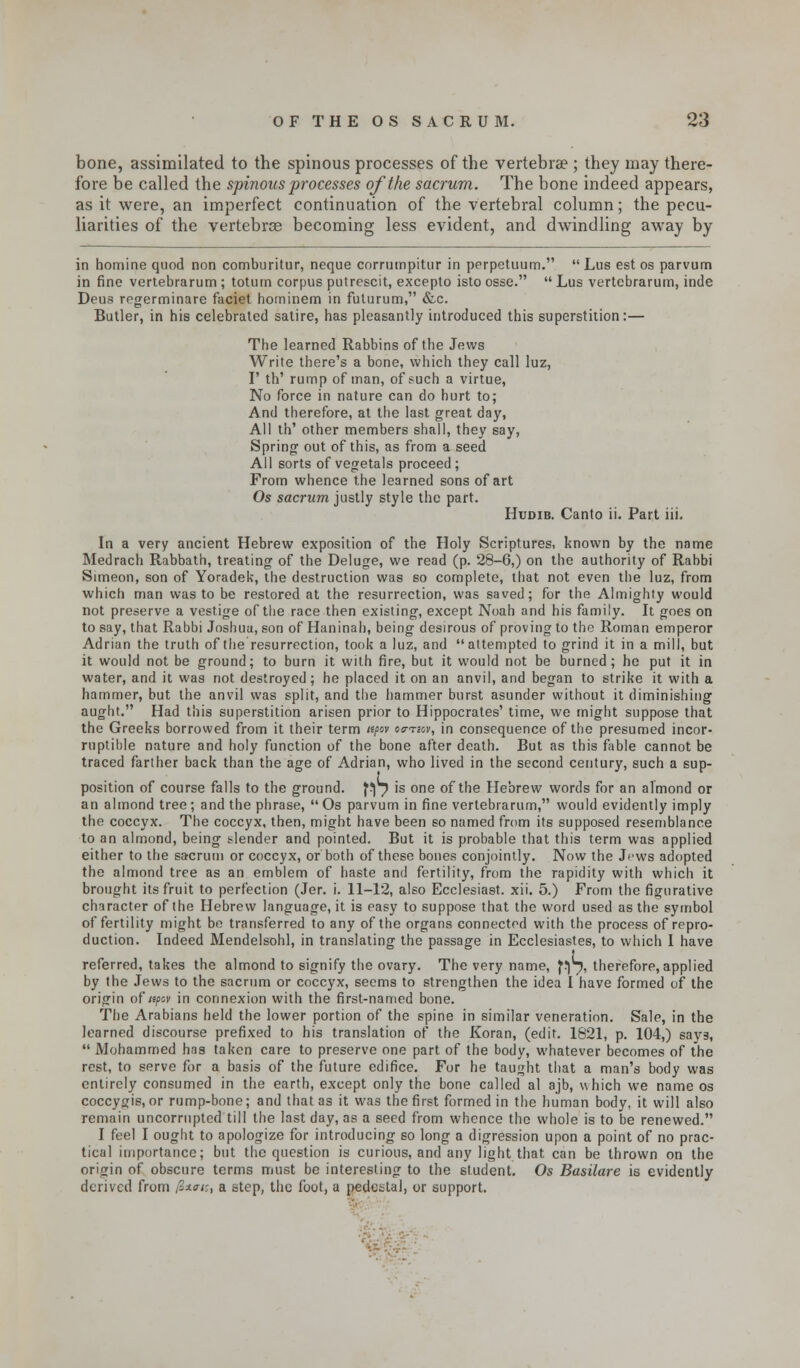 bone, assimilated to the spinous processes of the vertebra?; they may there- fore be called the spinous processes of the sacrum. The bone indeed appears, as it were, an imperfect continuation of the vertebral column; the pecu- liarities of the vertebras becoming less evident, and dwindling away by in homine quod non comburitur, neque corrumpitur in perpetuum.  Lus est os parvum in fine vertebrarum ; totum corpus putrescit, excepto isto osse.  Lus vertcbrarum, inde Deus regerminare faciet horninem in fulurum, &c. Butler, in his celebrated satire, has pleasantly introduced this superstition:— The learned Rabbins of the Jews Write there's a bone, which they call luz, I' th' rump of man, of such a virtue, No force in nature can do hurt to; And therefore, at the last great day, All th' other members shall, they say, Spring out of this, as from a seed All sorts of vegetals proceed; From whence the learned sons of art Os sacrum justly style the part. Hudib. Canto ii. Part iii. In a very ancient Hebrew exposition of the Holy Scriptures, known by the name Medrach Rabbath, treating of the Deluge, we read (p. 28-6,) on the authority of Rabbi Simeon, son of Yoradek, the destruction was so complete, that not even the luz, from which man was to be restored at the resurrection, was saved; for the Almighty would not preserve a vestige of the race then existing, except Noah and his family. It goes on to say, that Rabbi Joshua, son of Haninah, being desirous of proving to the Roman emperor Adrian the truth of the resurrection, took a luz, and attempted to grind it in a mill, but it would not be ground; to burn it with fire, but it would not be burned; he put it in water, and it was not destroyed; he placed it on an anvil, and began to strike it with a hammer, but the anvil was split, and the hammer burst asunder without it diminishing aught. Had this superstition arisen prior to Hippocrates' time, we might suppose that the Greeks borrowed from it their term «/>«v oo-tjov, in consequence of the presumed incor- ruptible nature and holy function of the bone after death. But as this fable cannot be traced farther back than the age of Adrian, who lived in the second century, such a sup- position of course falls to the ground. \yj is one of the Hebrew words for an almond or an almond tree; and the phrase,  Os parvum in fine vertebrarum, would evidently imply the coccyx. The coccyx, then, might have been so named from its supposed resemblance to an almond, being slender and pointed. But it is probable that this term was applied either to the sacrum or coccyx, or both of these bones conjointly. Now the Jpws adopted the almond tree as an emblem of haste and fertility, from the rapidity with which it brought its fruit to perfection (Jer. i. 11-12, also Ecclesiast. xii. 5.) From the figurative character of the Hebrew language, it is easy to suppose that the word used as the symbol of fertility might be transferred to any of the organs connected with the process of repro- duction. Indeed Mendelsohl, in translating the passage in Ecclesiastes, to which I have referred, takes the almond to signify the ovary. The very name, f!)^, therefore, applied by the Jews to the sacrum or coccyx, seems to strengthen the idea I have formed of the origin of tepov in connexion with the first-named bone. The Arabians held the lower portion of the spine in similar veneration. Sale, in the learned discourse prefixed to his translation of the Koran, (edit. 1821, p. 104,) say3,  Mohammed has taken care to preserve one part of the body, whatever becomes of the rest, to serve for a basis of the future edifice. For he taught that a man's body was entirely consumed in the earth, except only the bone called al ajb, which we name os coccygis,or rump-bone; and that as it was the first formed in the human body, it will also remain uncorrupted till the last day, as a seed from whence the whole is to be renewed. I feel I ought to apologize for introducing so long a digression upon a point of no prac- tical importance; but the question is curious, and any light that can be thrown on the origin of obscure terms must be interesting to the student. Os Basilare is evidently derived from #**■«, a step, the foot, a pedestal, or support.